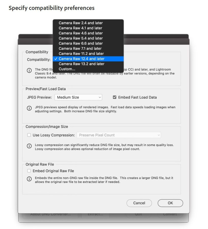 Adobe Digital Negative Converter. Фотошкола Елены Светловой (Санкт-Петербург)