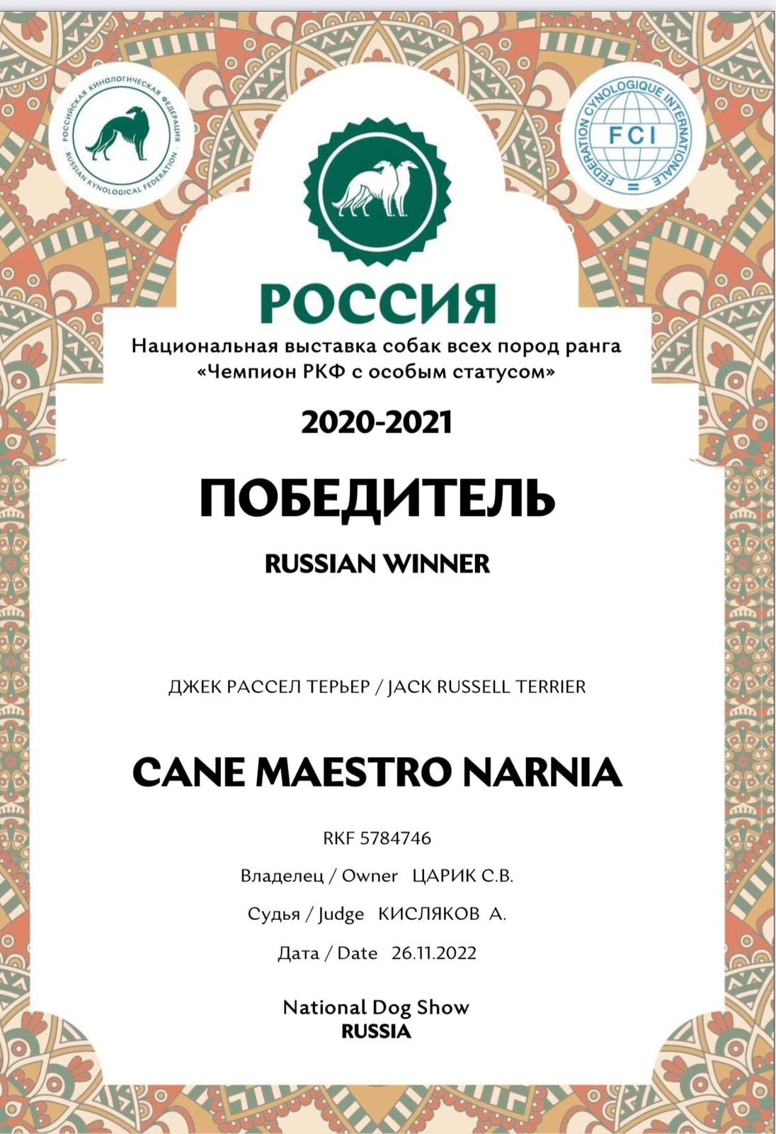 26/11/22 Russia RKF Cup 2020-2021 / 27/11/22 Russia RKF Cup & Moscow Cup 2022. CANE MAESTRO — kennel Jack Russell Terrier
