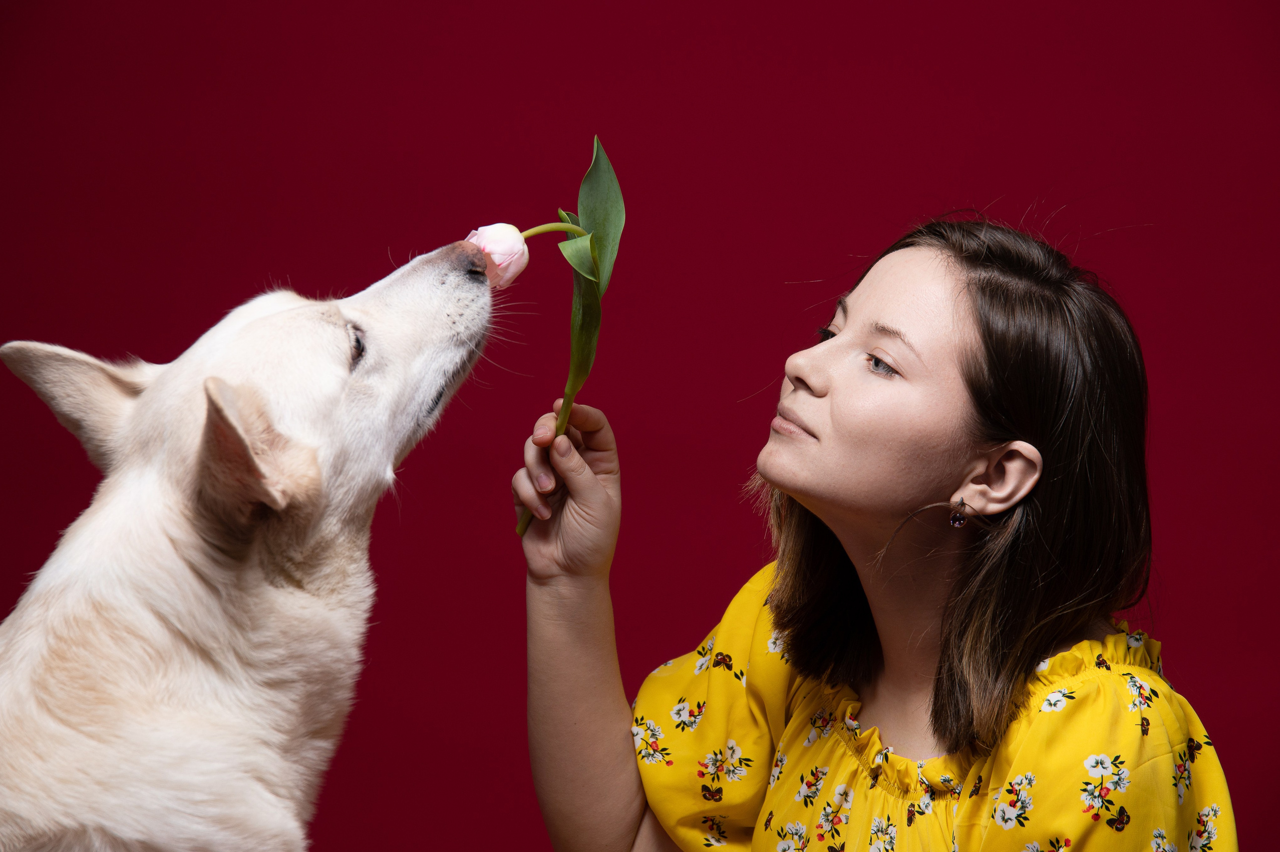 Контакты. Фотограф-анималист в Санкт-Петербурге Анастасия Иванова