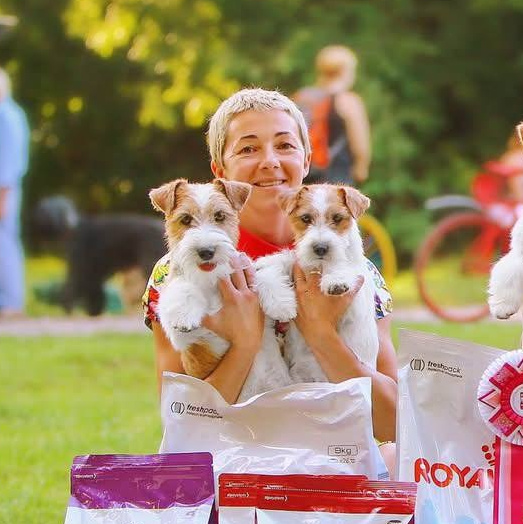 Контакты. Lovely-Orange питомник джек рассел терьеров