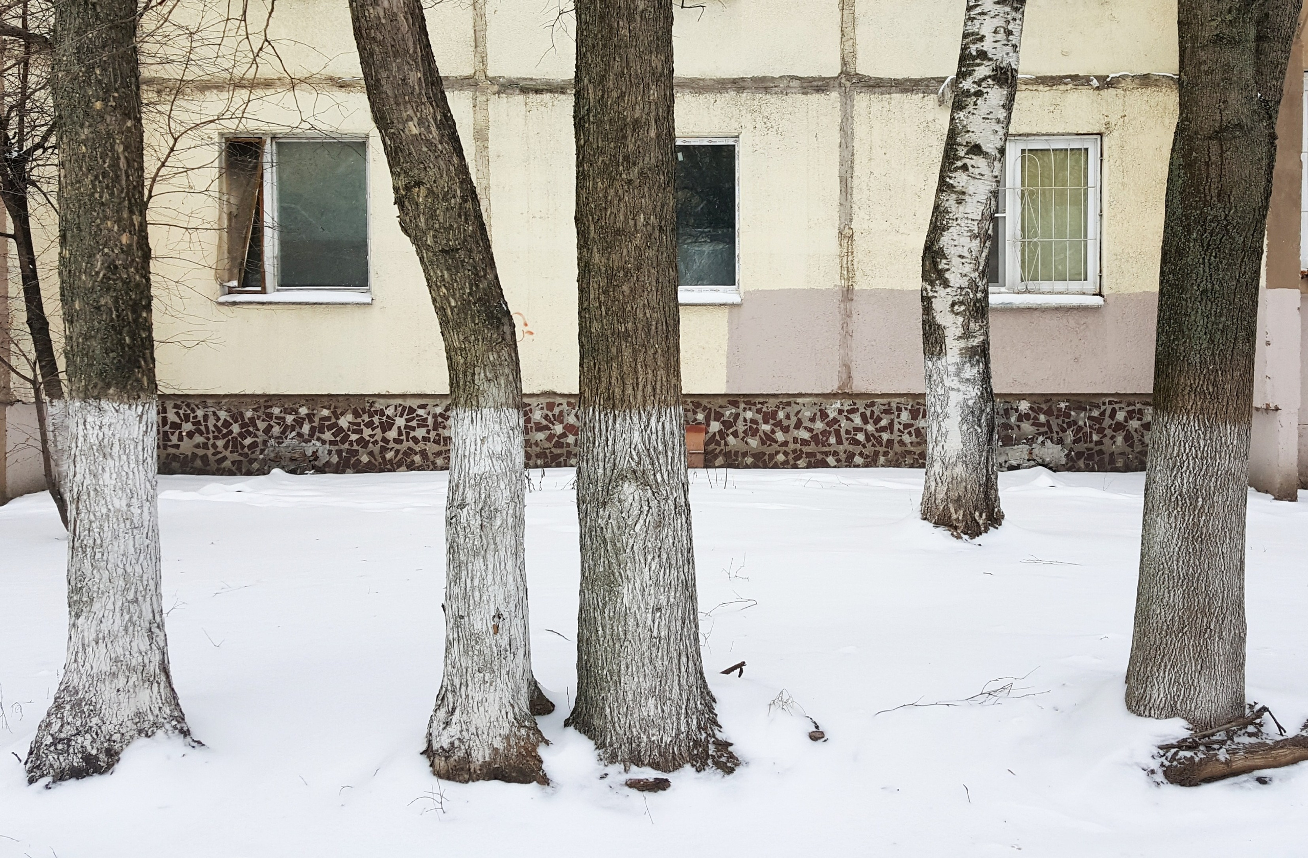 Серкова Анна. ARTEXPOPHOTO