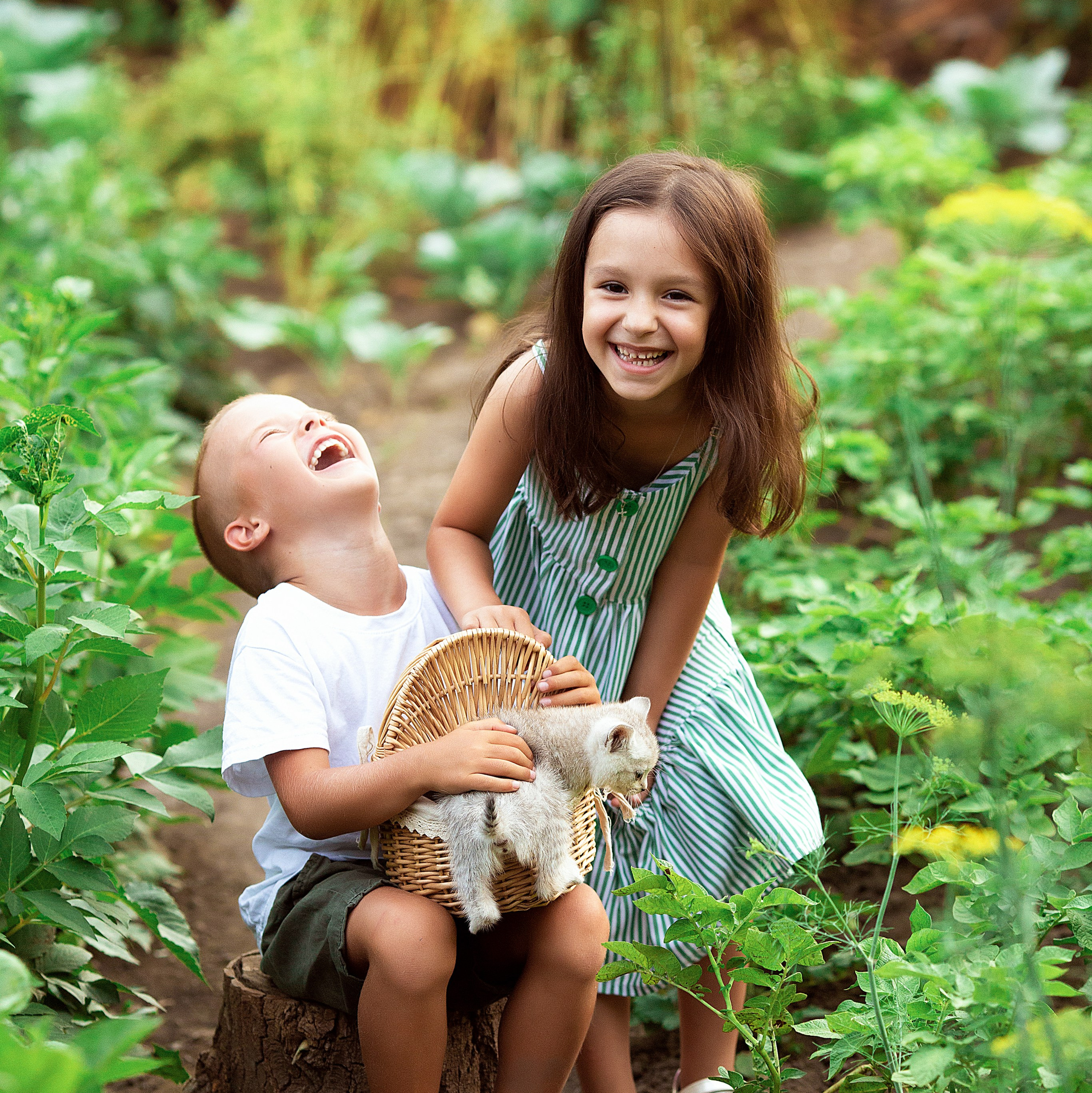 Услуги. Людмила Далидович топовый семейный фотограф Находка/Владивосток