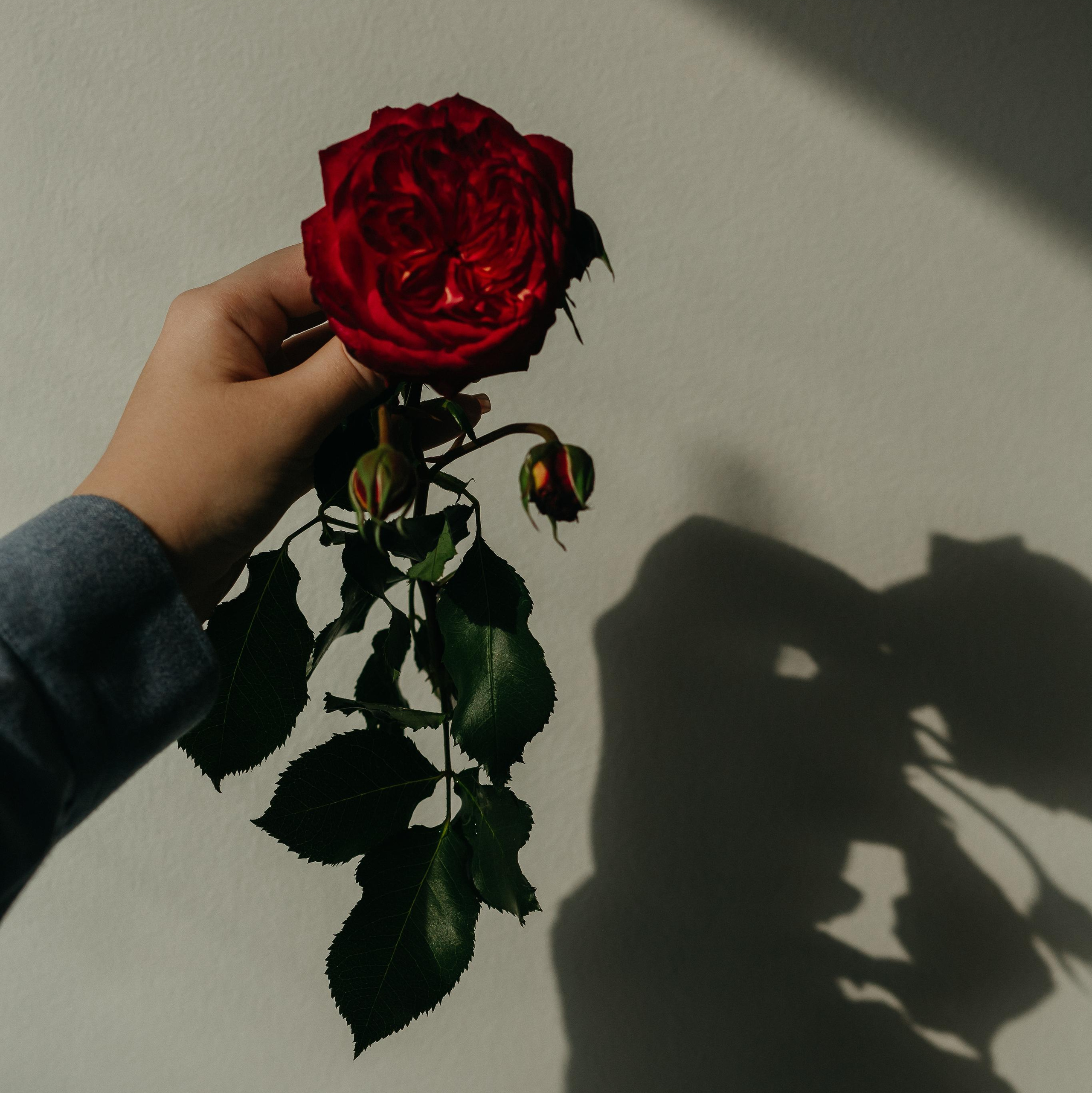 Свадебный фотограф в Челябинске Оксана Мишакова