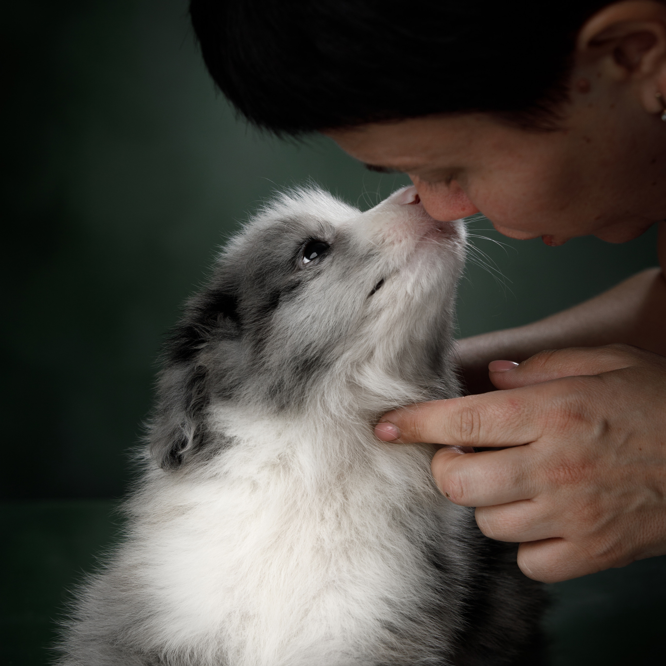 Питомникам. Фотограф-анималист Саша Вязьмина