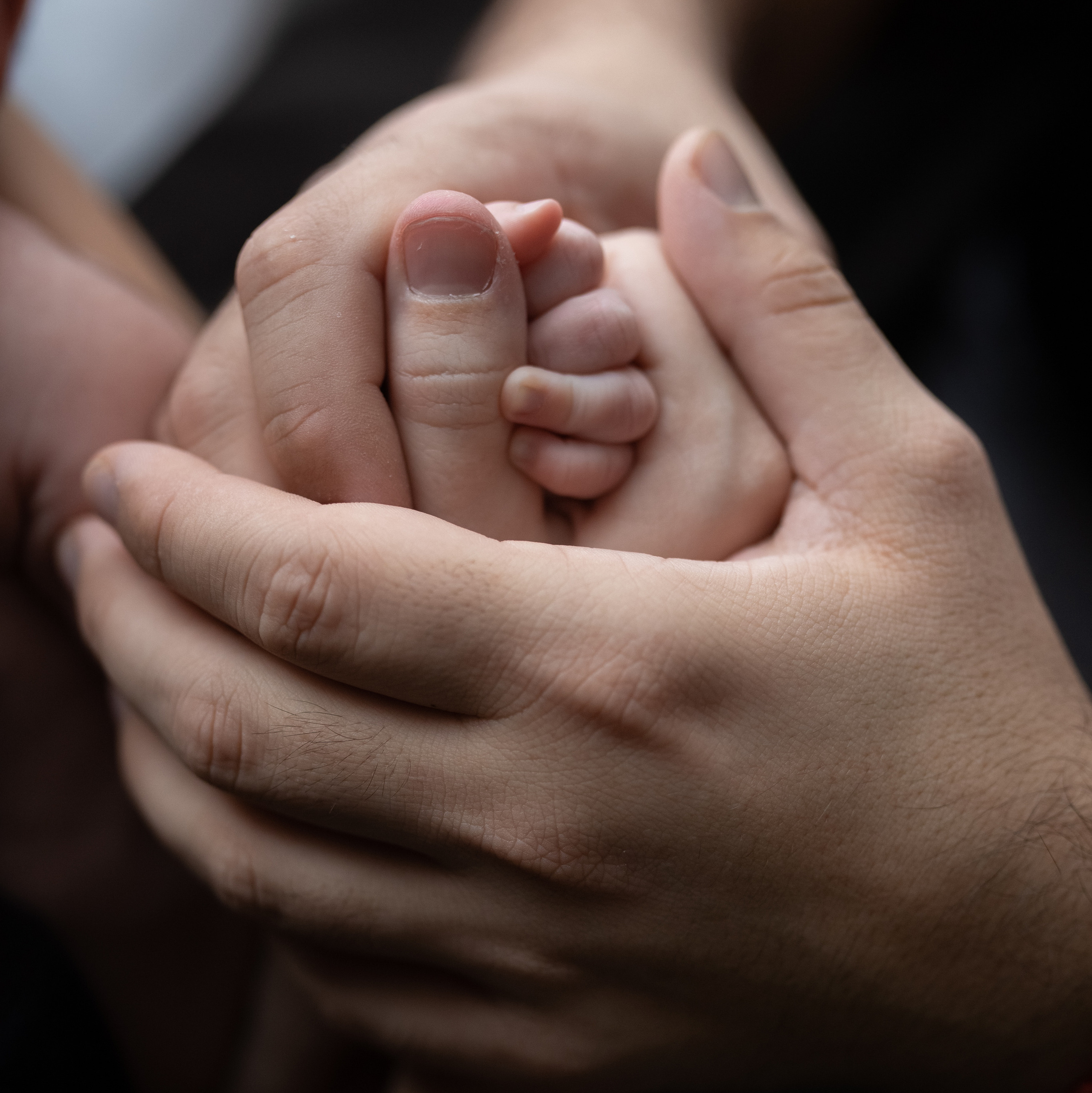 Семейный фотограф Мария Терехова