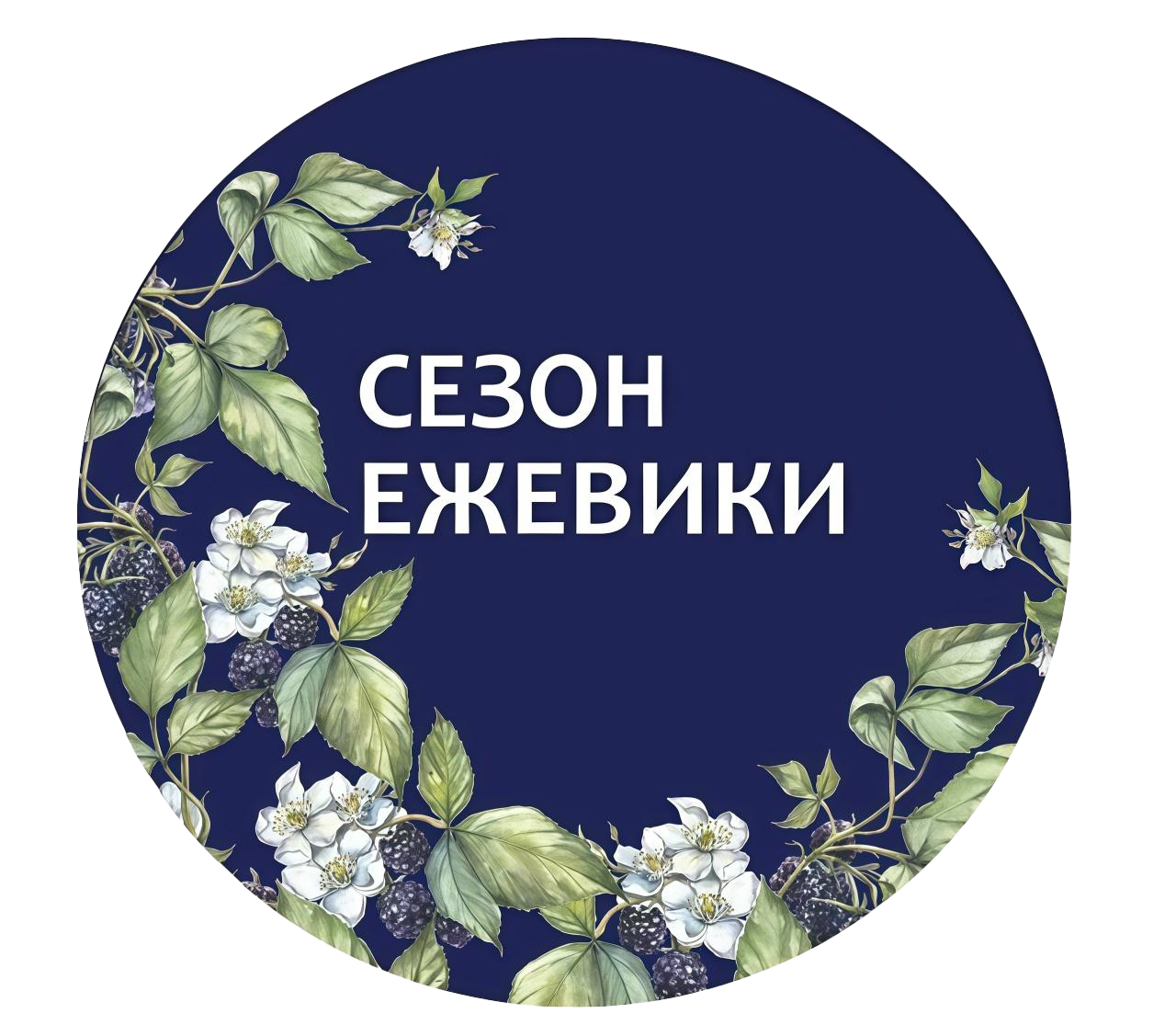 Наши партнеры. Агентство событий «Сезон ежевики»
