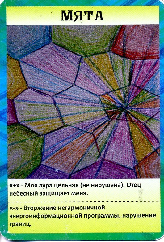 Масло мяты перечной. VDAO.RU — исцеляющие практики