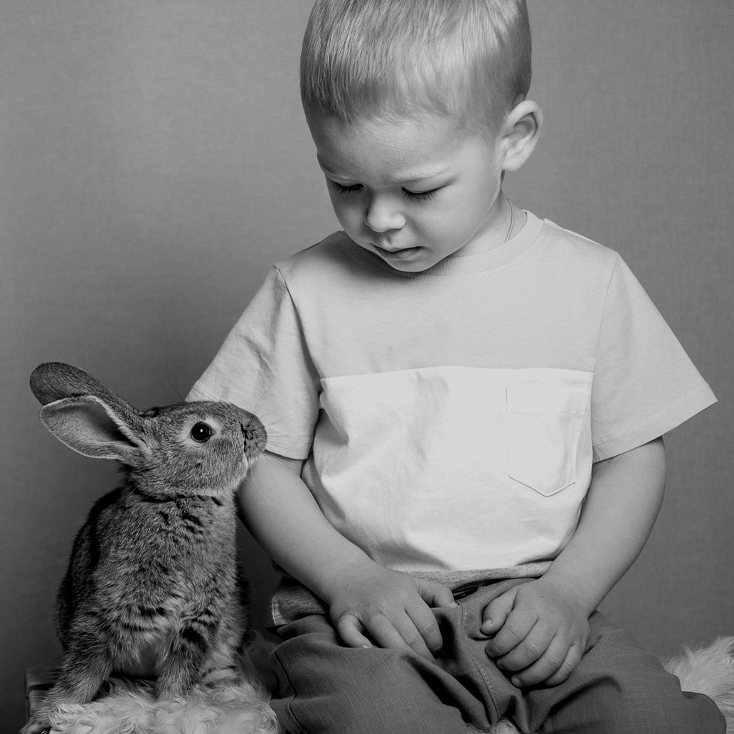 Фотосессии на любой вкус!. Фотостудия Панда