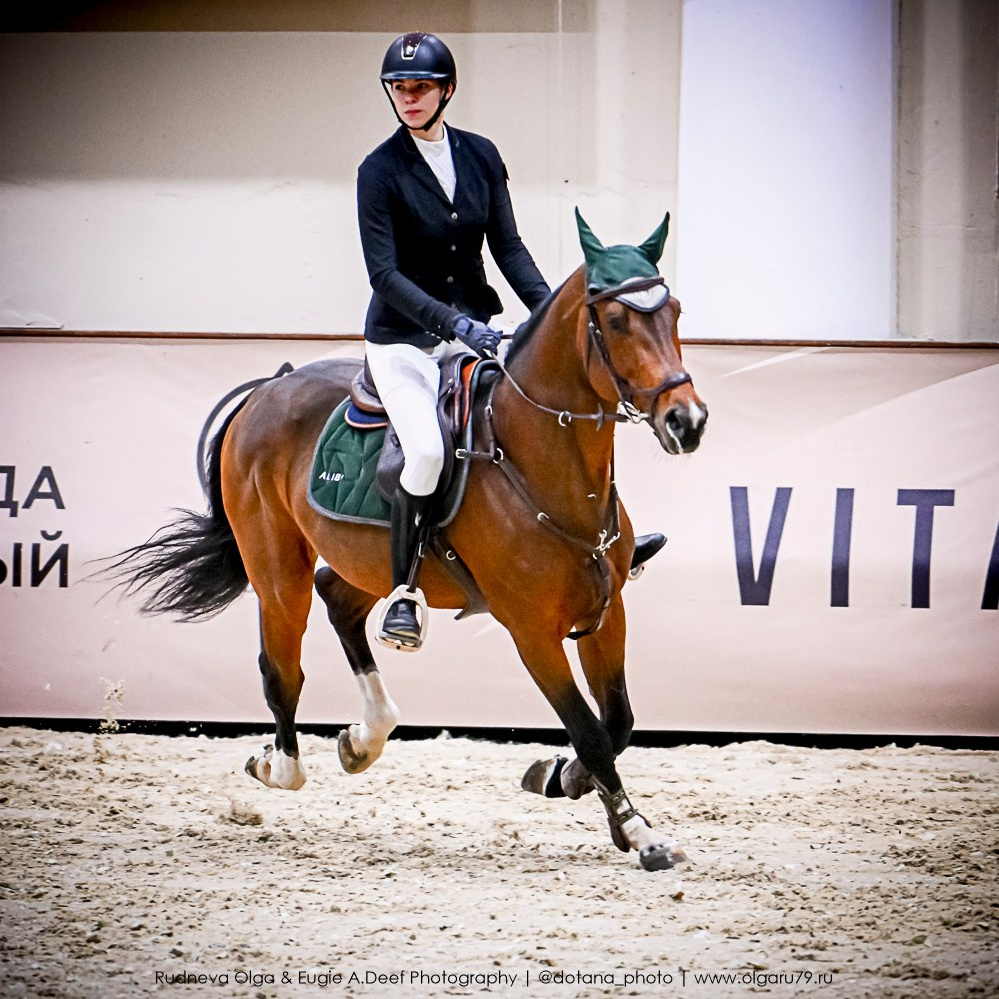 2025.10.25 — КСК Виват, Россия!. ТУРНИРНАЯ КОННАЯ ФОТОГРАФИЯ, Руднева Ольга и Евгений Адеев