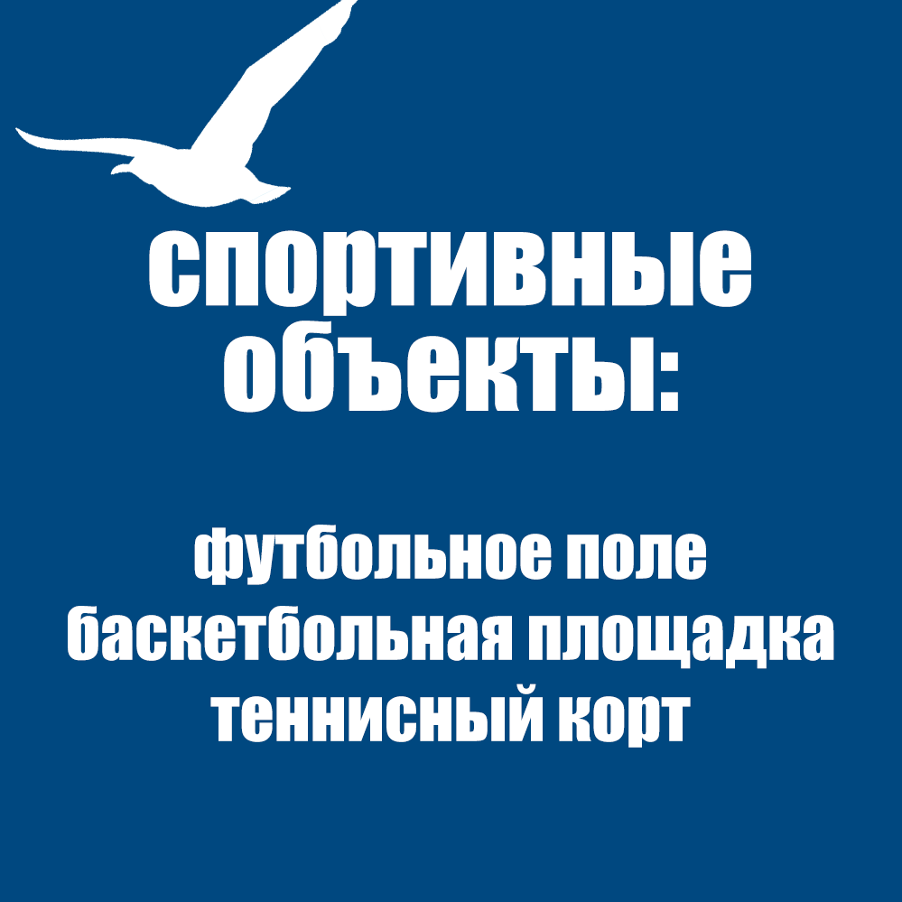 Спортивная инфраструктура лагеря футбольное поле баскетбольная площадка теннисный корт