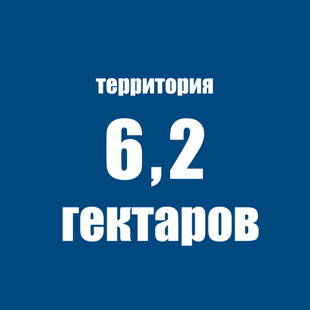 Территория лагеря 6,2 гектаров