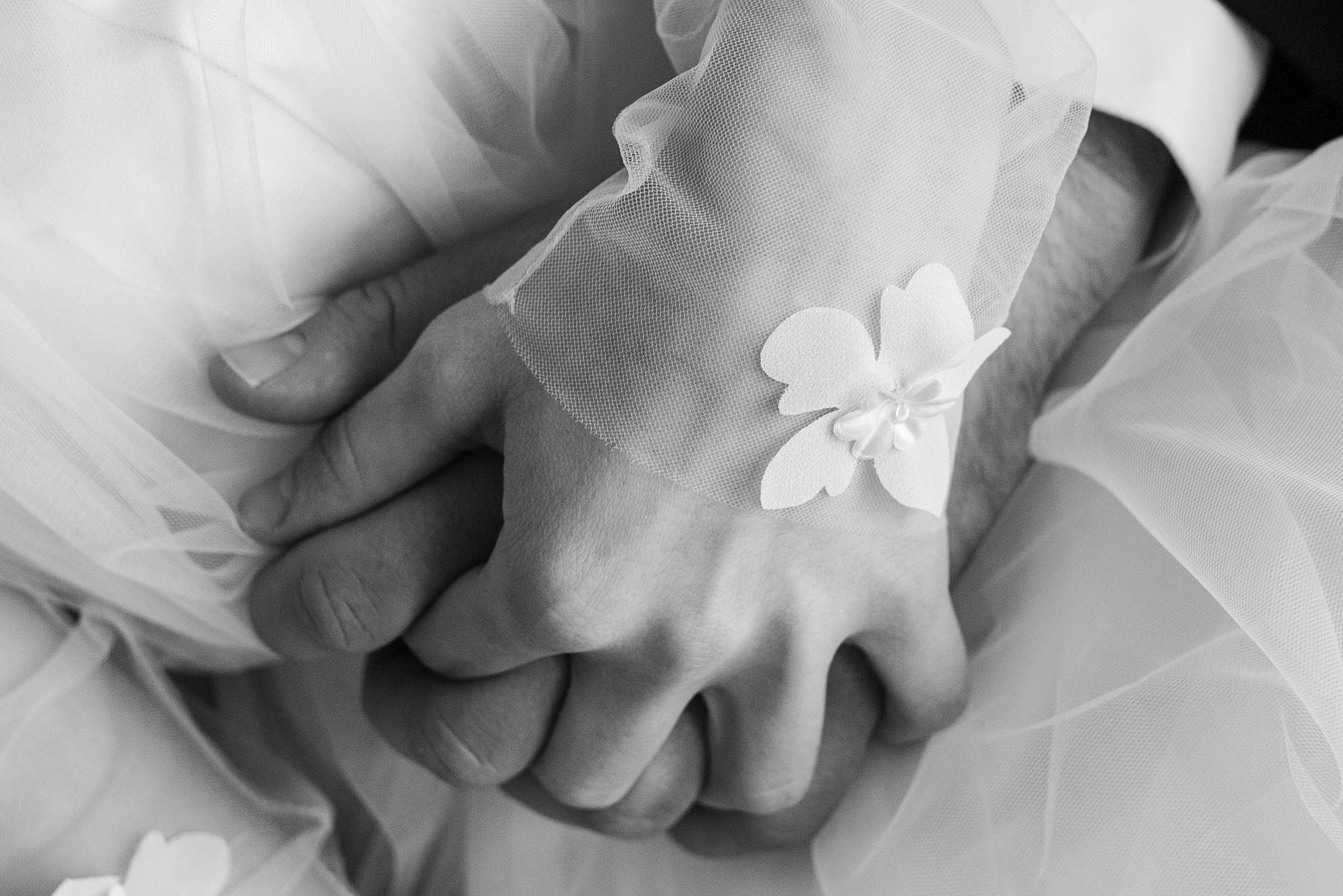 Свадебная съемка. Свадебный и семейный фотограф Ксения Борщевская в Ташкенте