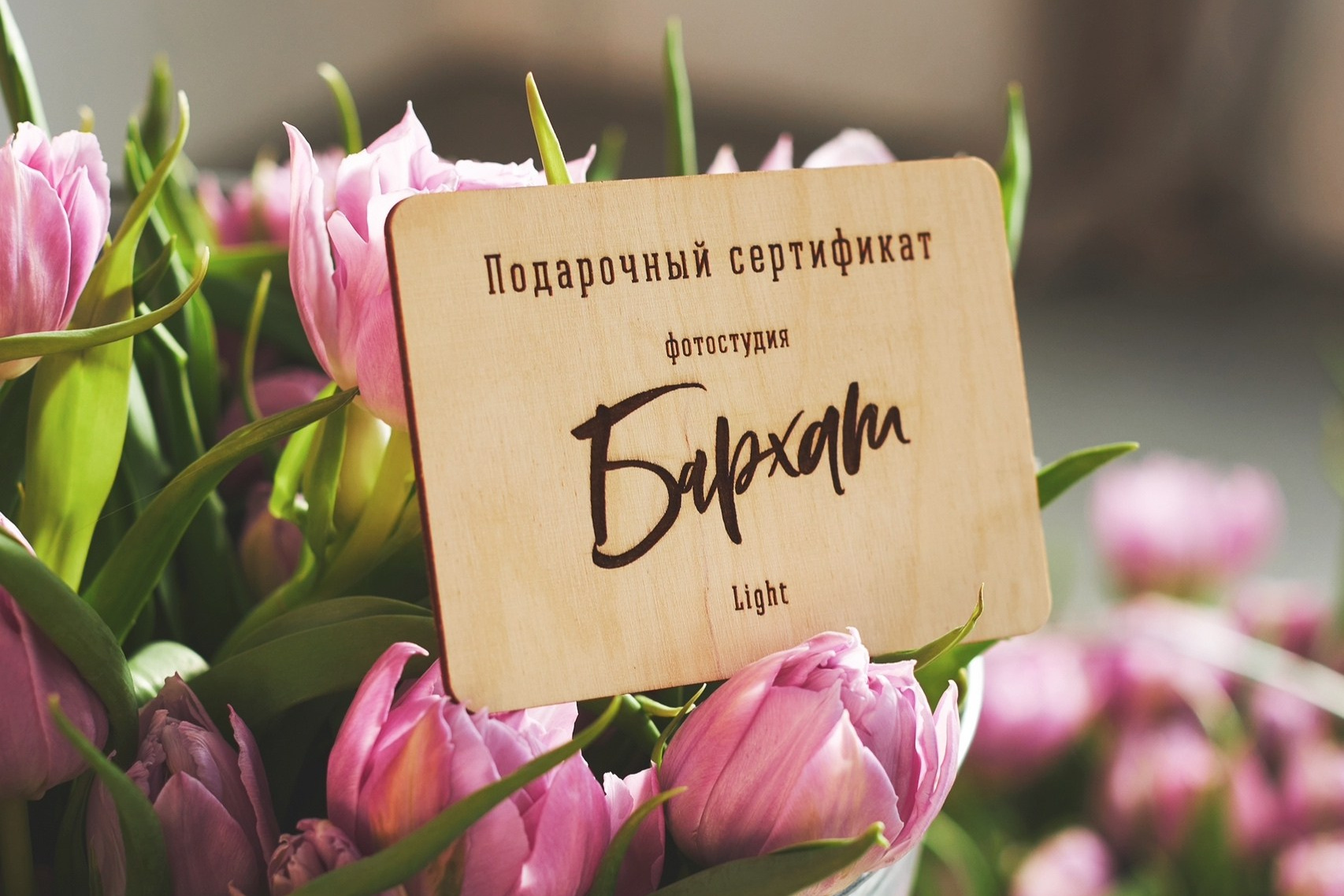 Подарочный сертификат на фотосессию Мурманск Сертификат на фотосъёмку студия Бархат Мурманск Подарок на день рождения фотосессия Мурманск Сертификат фотостудия Бархат Light Standard Мурманск Сертификат на фотосессию студия Бархат Мурманск Подарочный сертификат Light студия Бархат Мурманск Подарочный сертификат Standard студия Бархат Мурманск Подарок фотосессия студия Бархат Мурманск