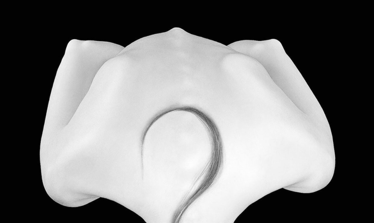 Buy Curves of nature nude body photo. Anna Laza Art photographer