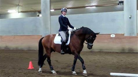 Онлайн старты. Лиана Антонович | Конные стратегии