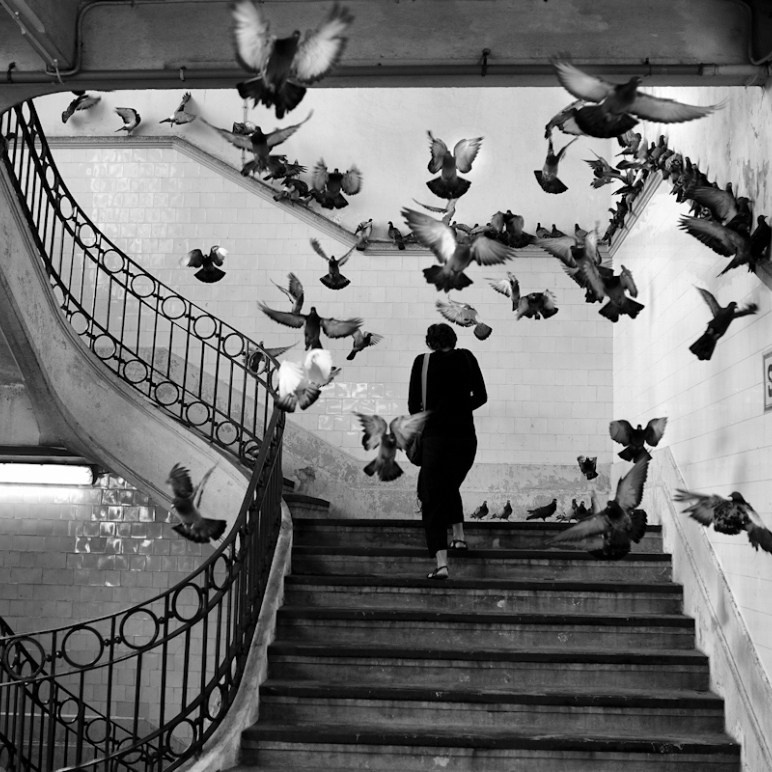 История фотографии — альбомы мировых фотографов. ТУРМАЛИН ТАНЯ ЖЕНСКИЙ ФОТОГРАФ В МОСКВЕ