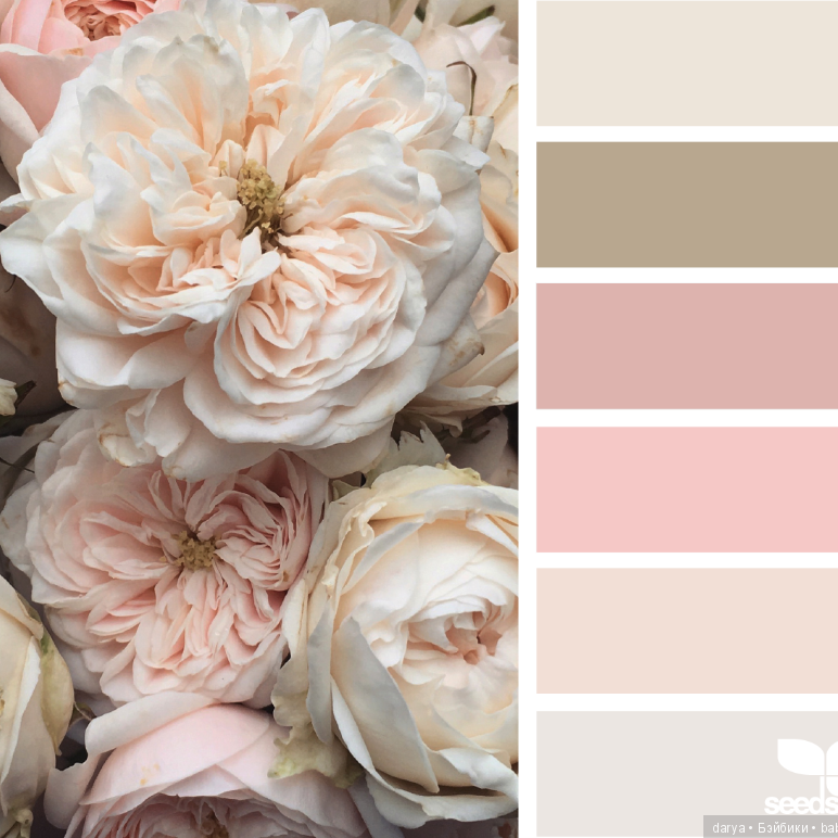 Локации и их цветовые гармонии. Степанова Анна.Детский и семейный фотограф Крым