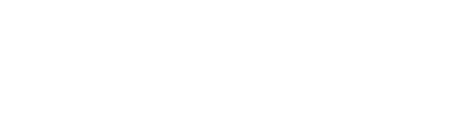 art-labzn.ru