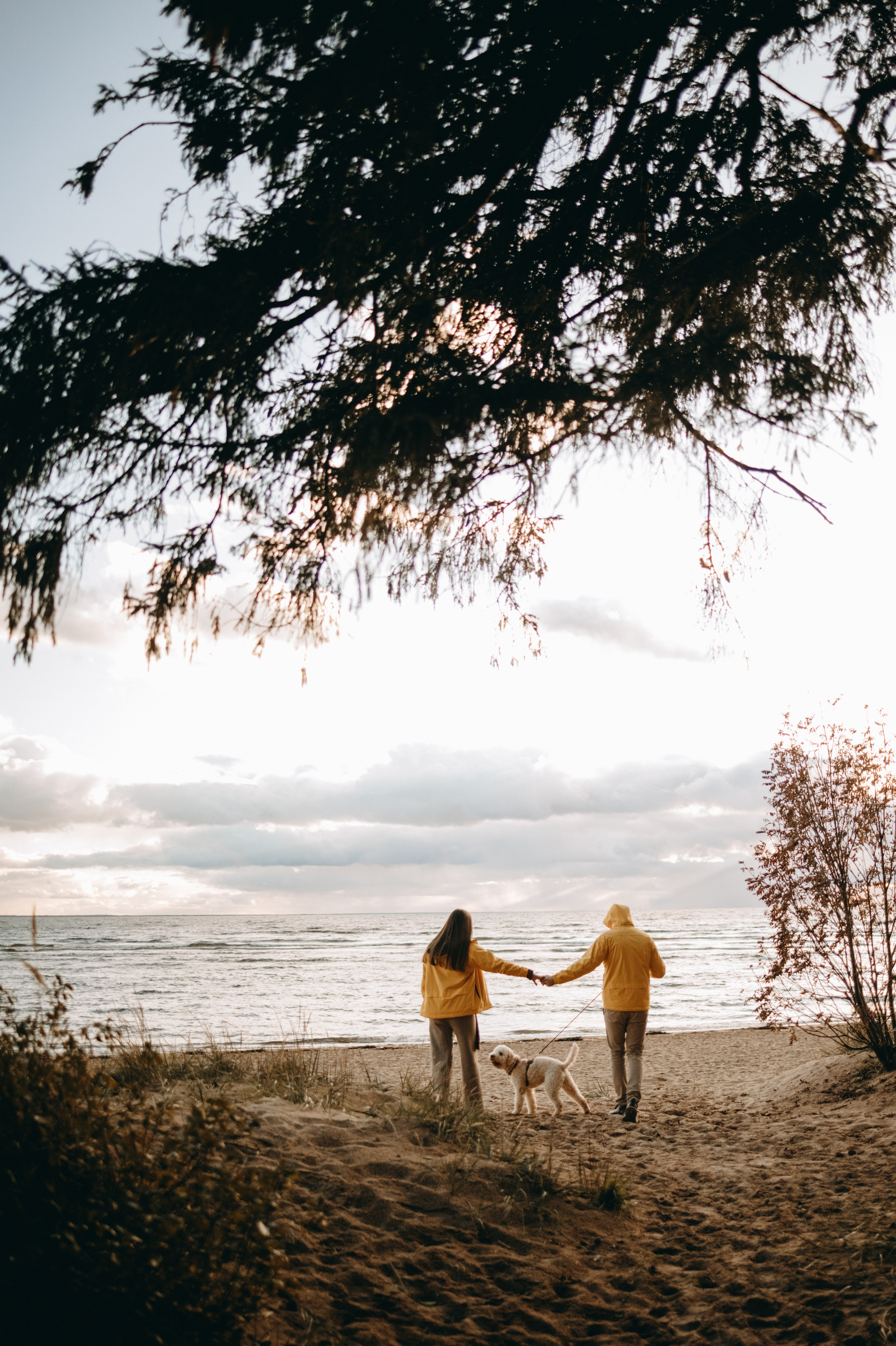 Фотограф — Анималист | Санкт-Петербург
