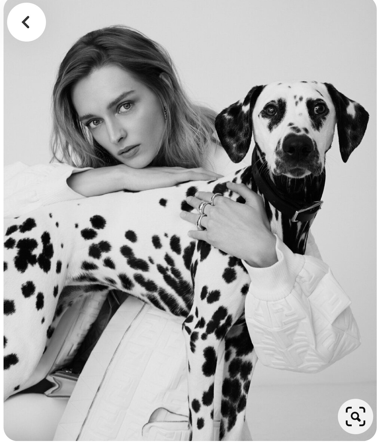 LA PULCHI СЪЕМКА С ЖИВОТНЫМИ КОНСУЛЬТАЦИЯ ПО ПОДГОТОВКЕ