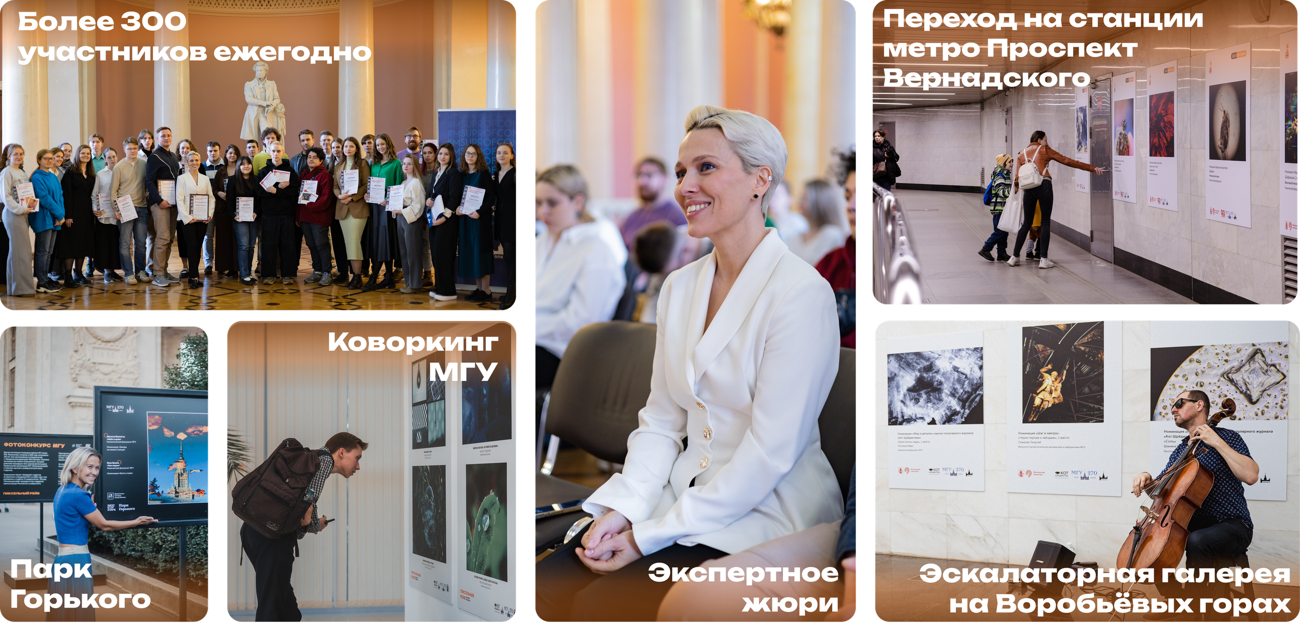 Begomvprofcom.wfolio.pro