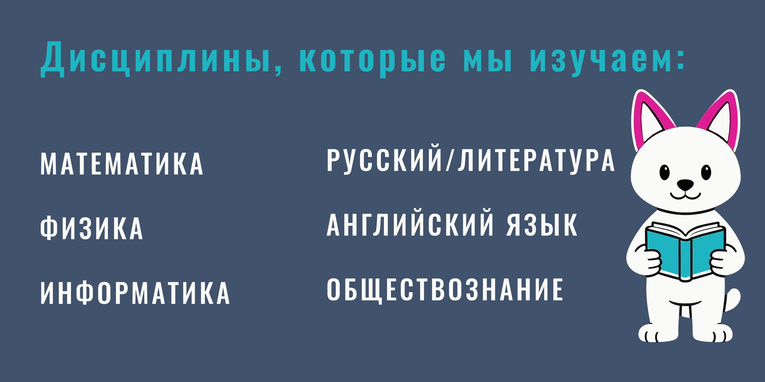 Скиллис-скул.рф Онлайн школа для детей и взрослых