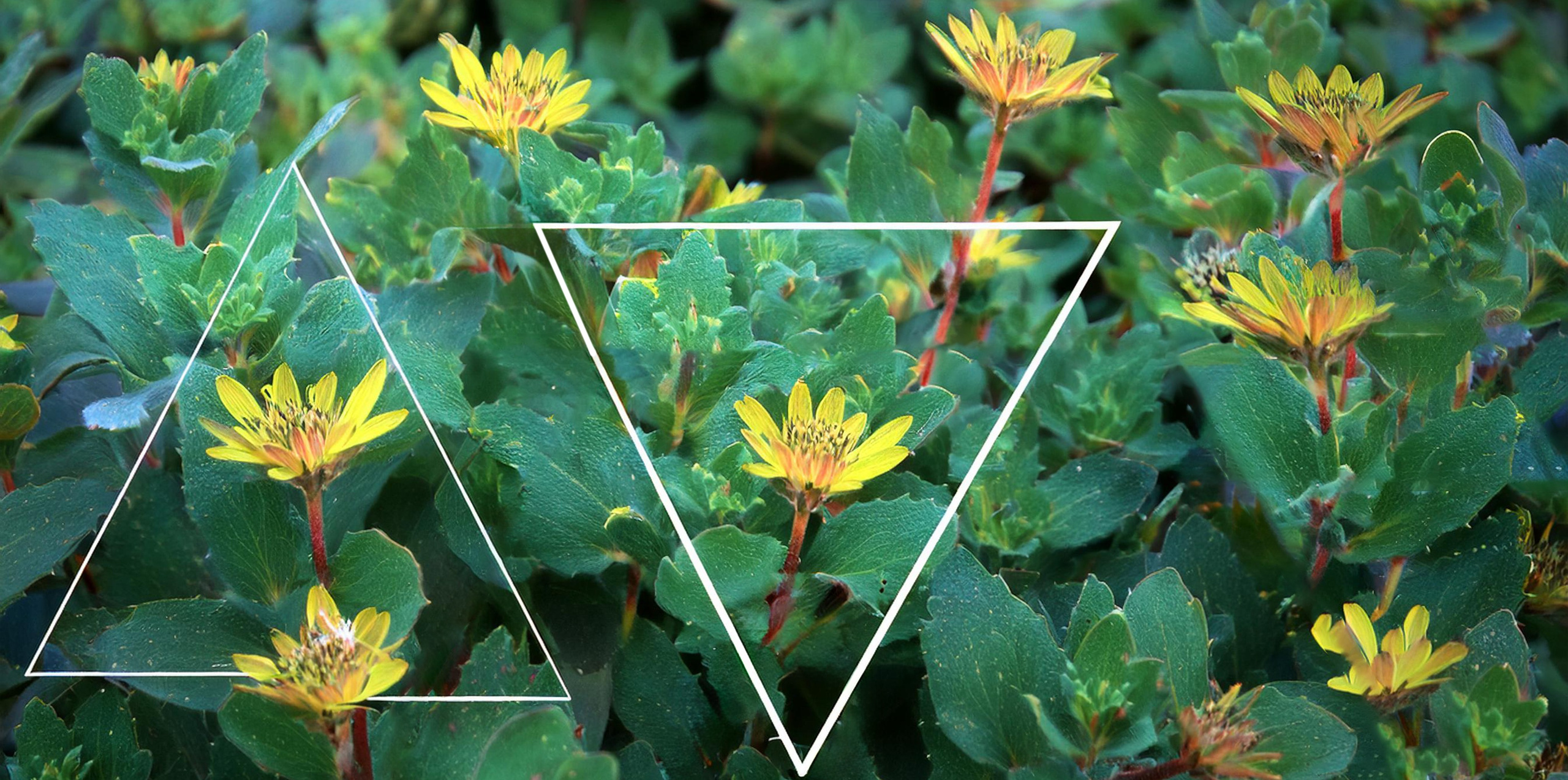 Типы визуальных направляющих в фотографии. Сафронов Иван — портретный фотограф в Москве