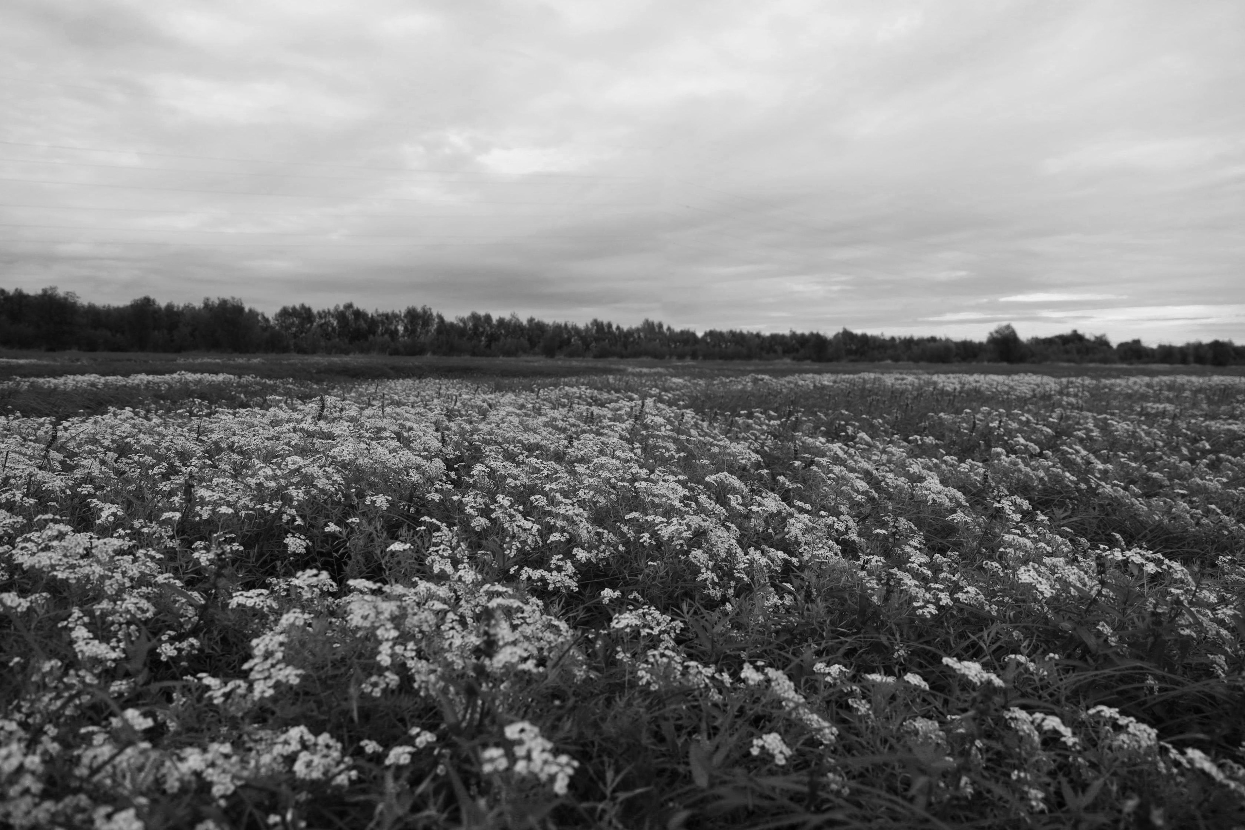 Выпускной альбом Сургут ХМАО