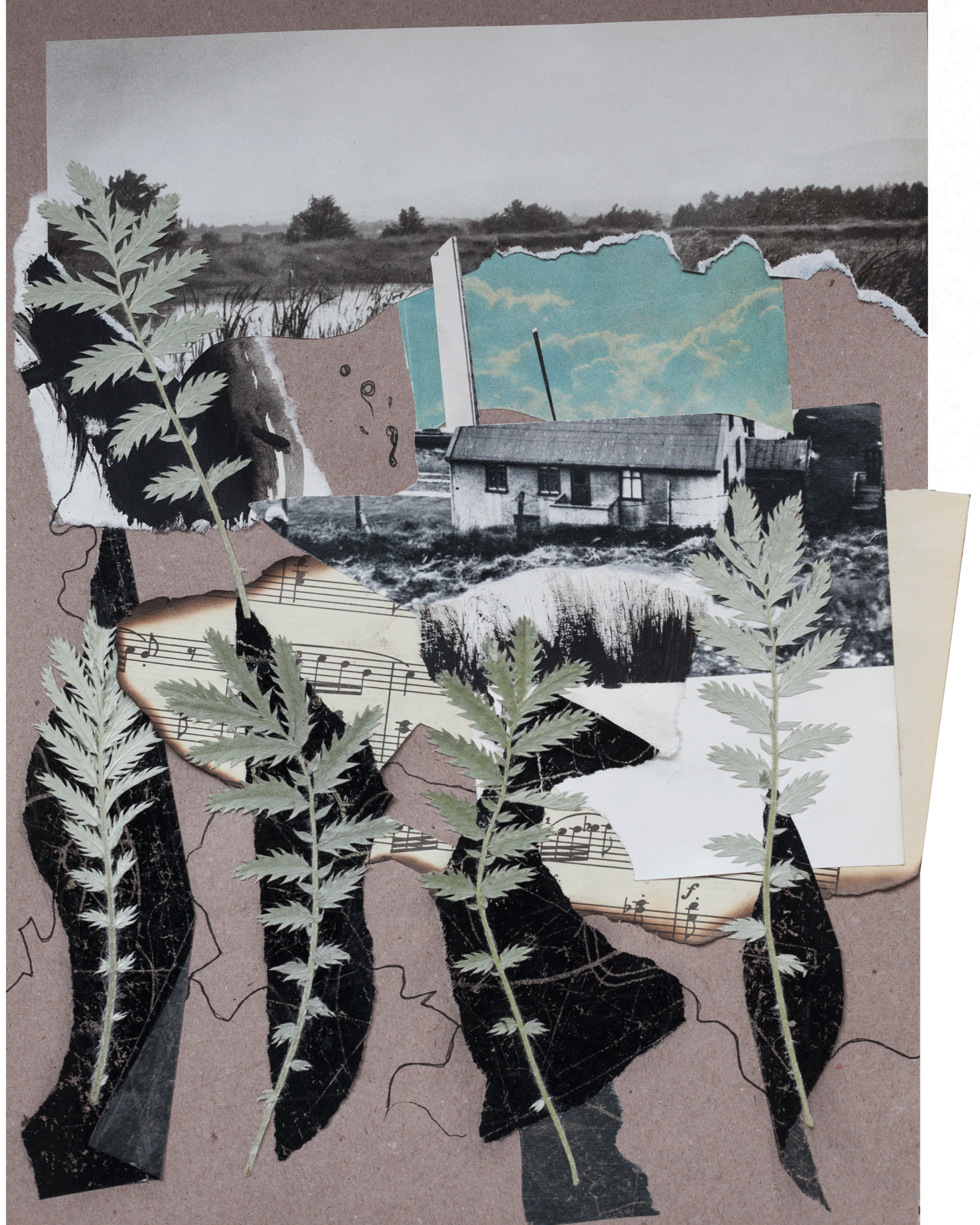 Collage. Alya Segova