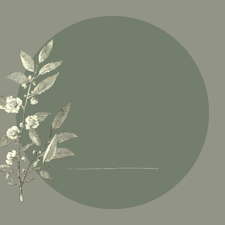 Психолог Юлия Наумкина