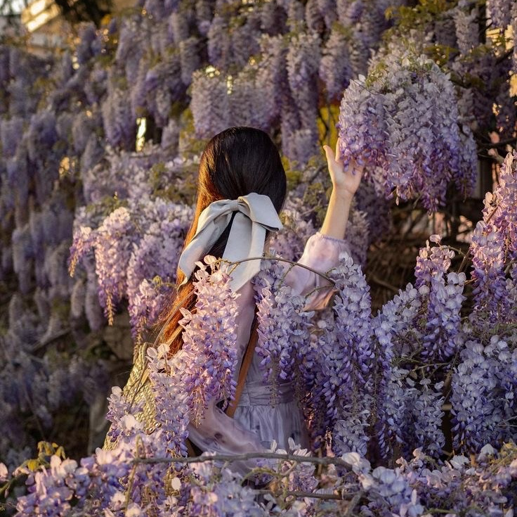 Фото путешествие в Сочи для девушек. Фотограф и видеограф Елена Лисина