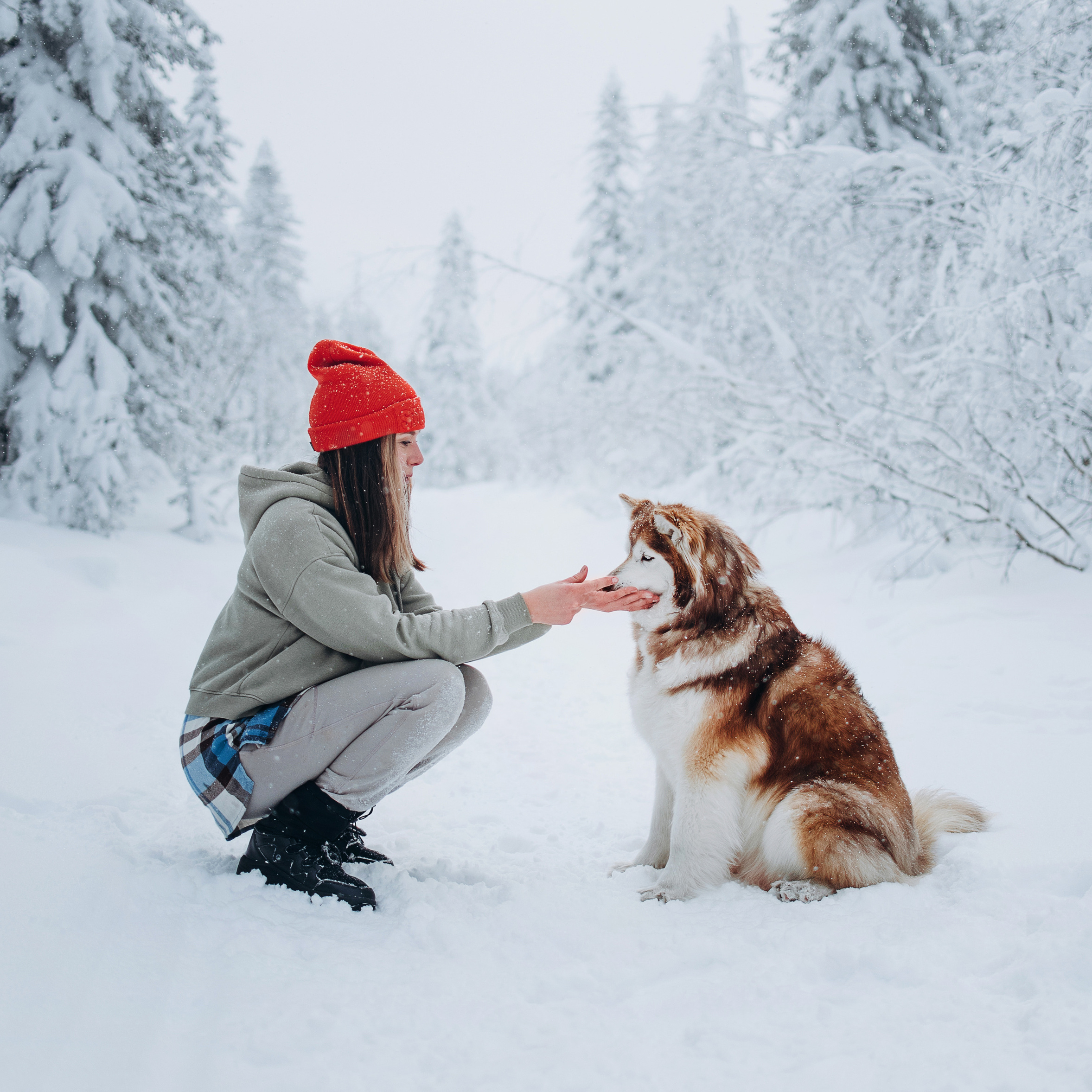 Контакты. Портфолио