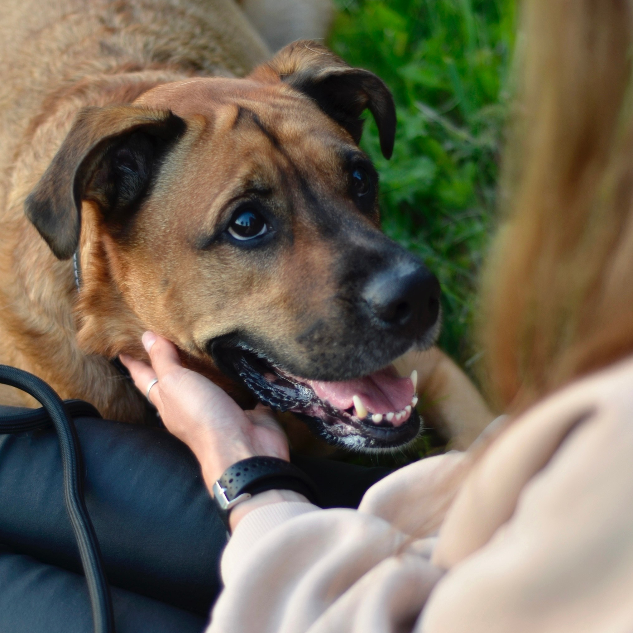 Фотограф анималист