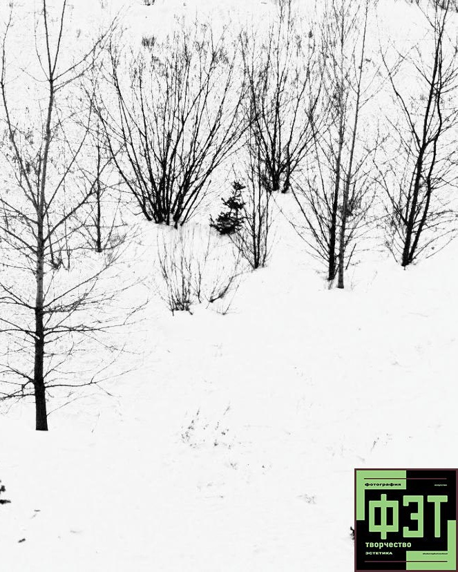 Наталья Переверзева