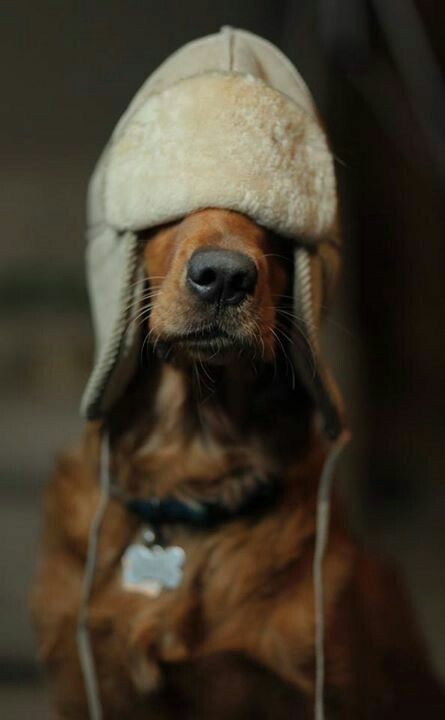 РЕКОМЕНДАЦИИ СЕМЬЯ КАК ПОЛУЧИТЬ УДОВОЛЬСТВИЕ ОТ ФОТОСЕССИИ