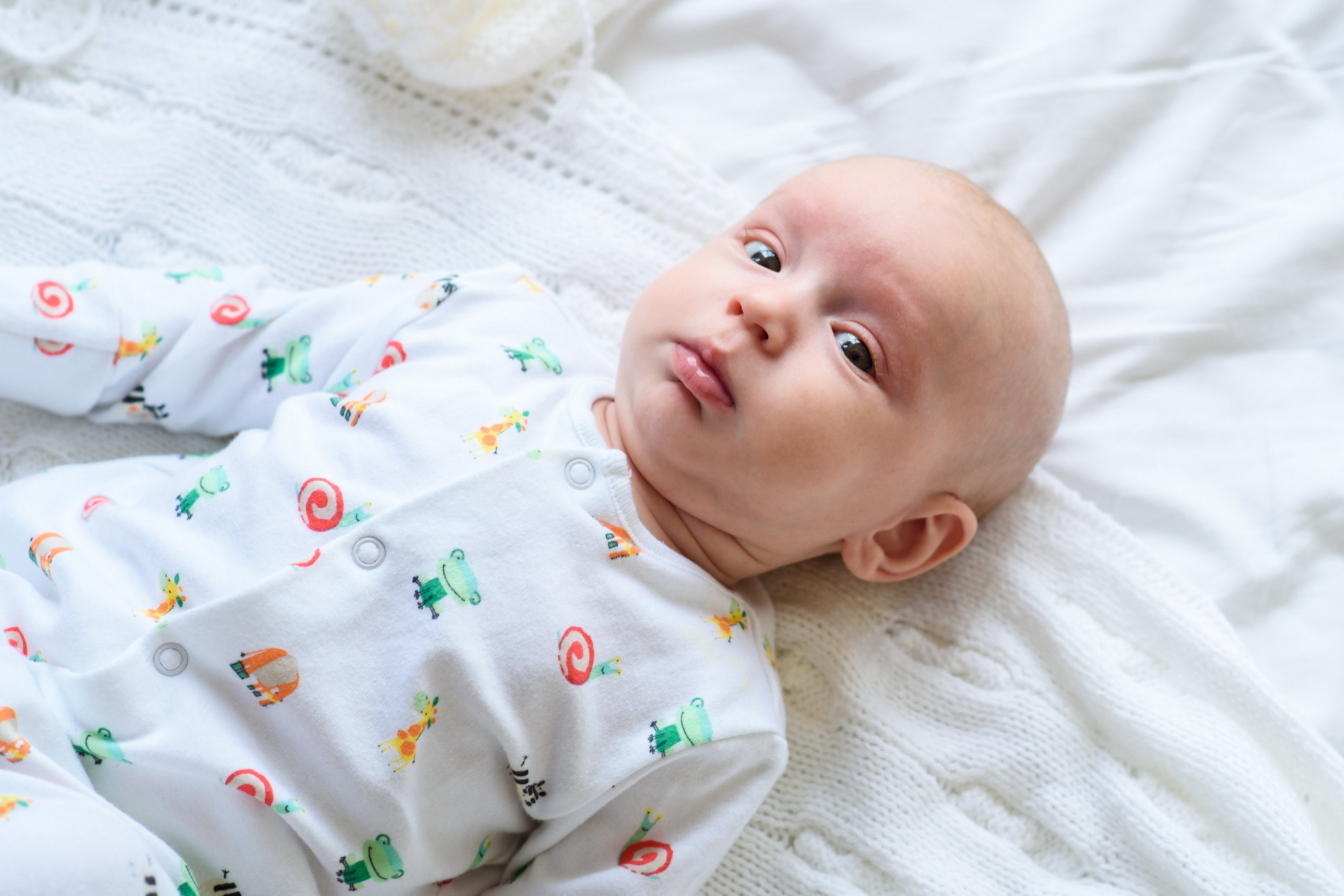 Пакеты услуг и стоимость семейной фотосъемки в Челябинске. Свадебный и просто хороший фотограф в Челябинске