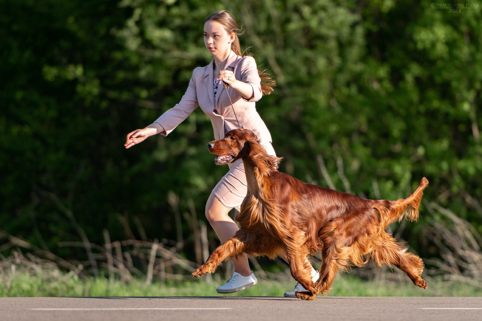 Экстерьерная фотосессия собаки. Фотограф собак в Москве и Московской области Иванушкина Мария