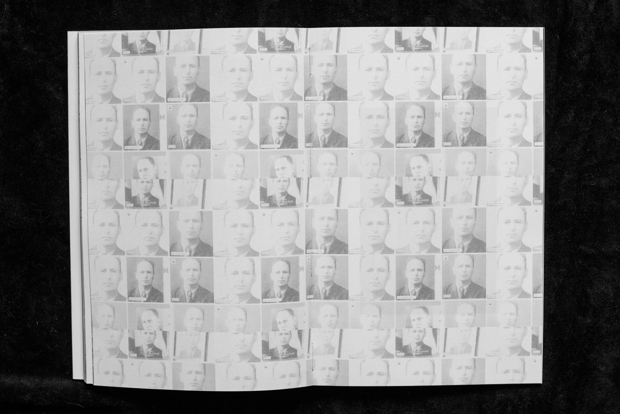 ОБЗОР АКТУАЛЬНЫХ ФОТОКНИГ: Цифровые тени слов. Самоорганизация Низина