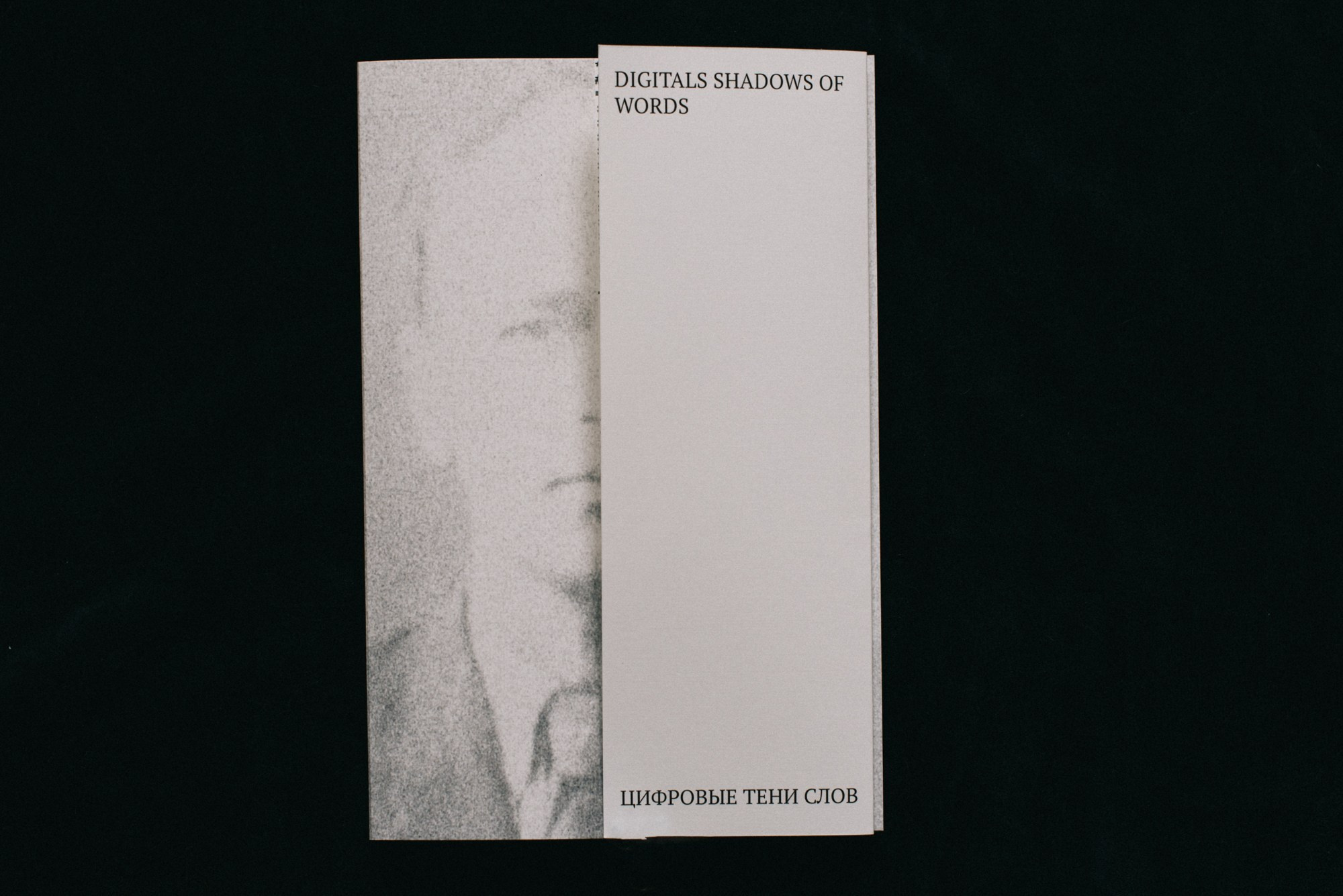 ОБЗОР АКТУАЛЬНЫХ ФОТОКНИГ: Цифровые тени слов. Самоорганизация Низина