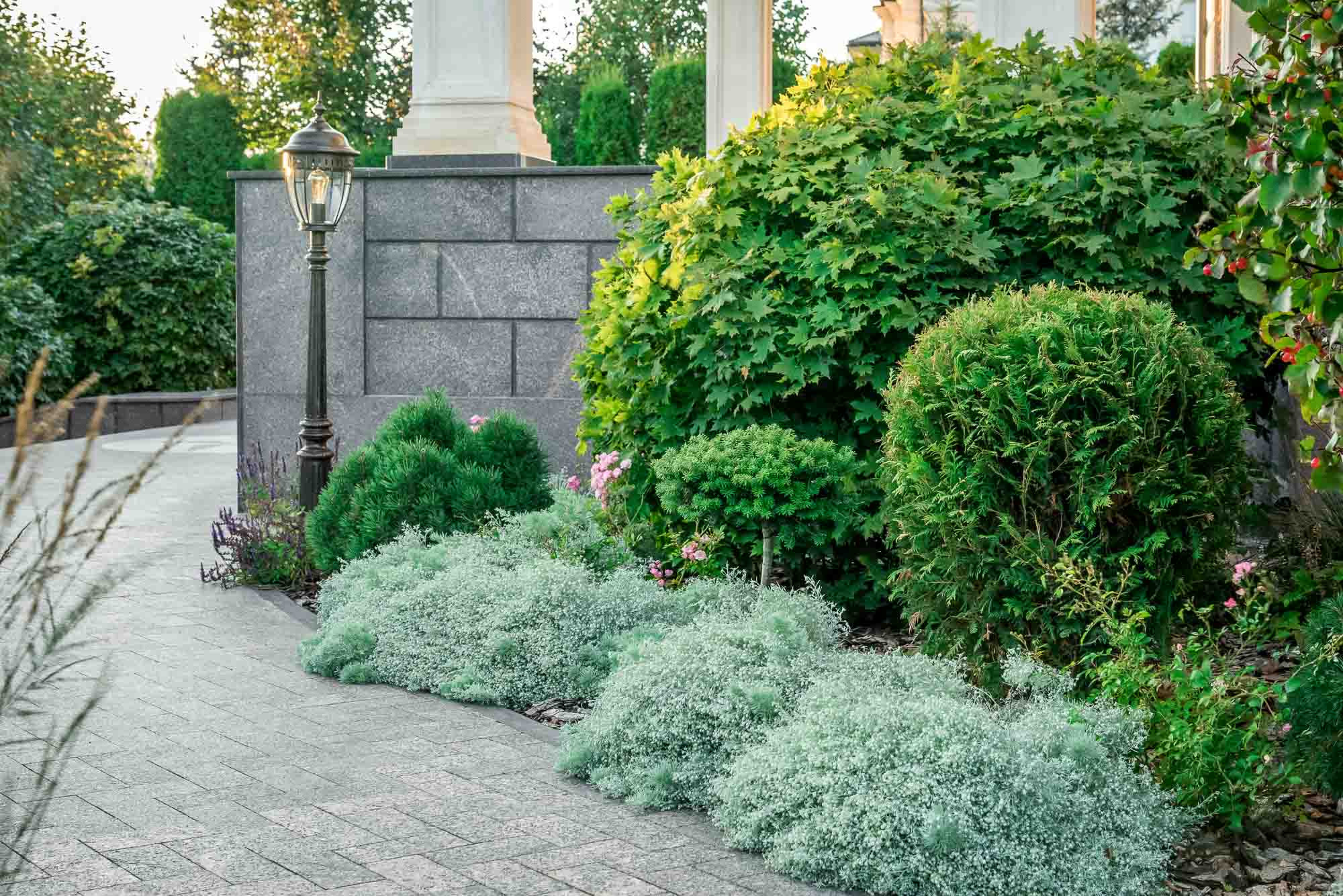 Услуги и цены. Интерьерный фотограф в Москве Михаил Дереча