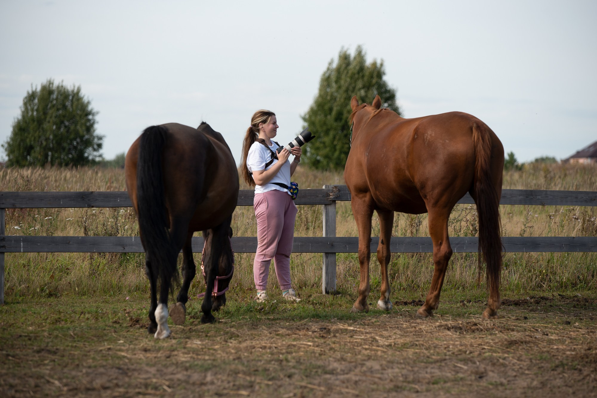 Обучение фотографии, фотокурсы, фотошкола, преподаватель, конная фотография, мастер класс, воркшоп, съемка лошадей, фото курсы, учиться фотографии, фотография для начинающих, настройки камеры, курсы по фотографии, Обучение Для фотографов,  теоретические основы и практика навыков, обработка и продвижение. Наставничество для фотографов. Индивидуальное обучение фотографии