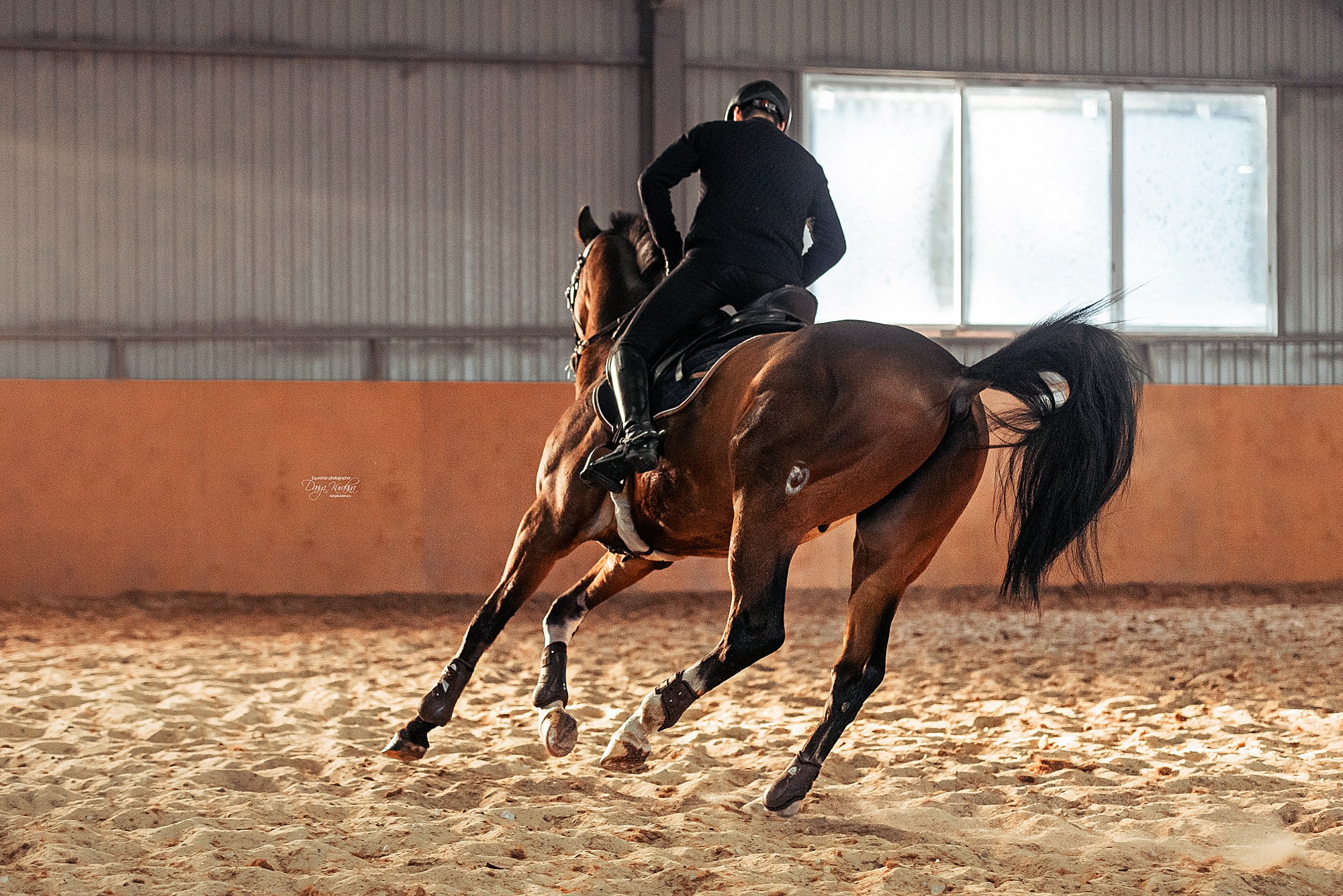 Контакты. Конный фотограф Куракина Дарья • Фотосессии с лошадьми