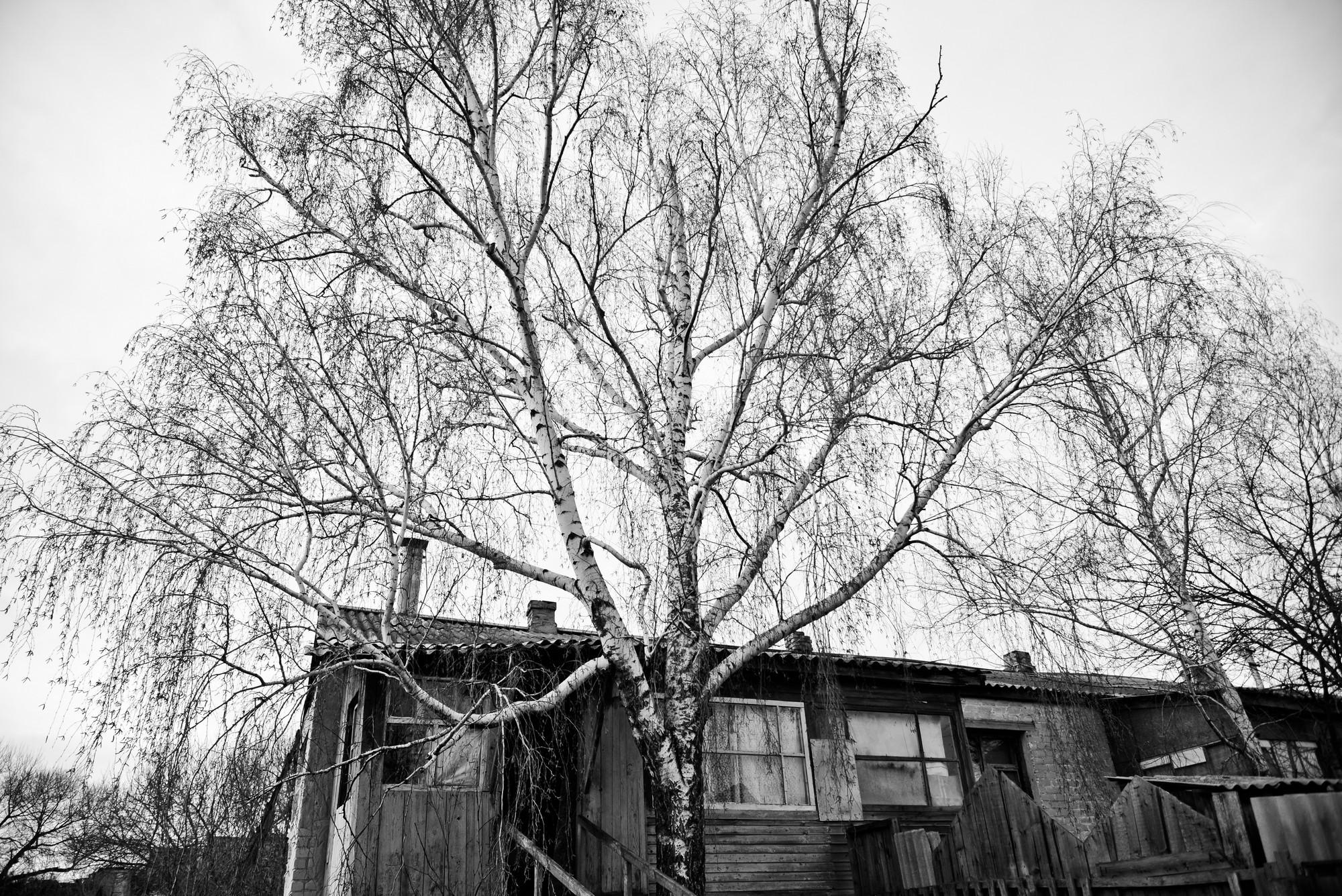 Bound (2014-2019). Porto Photographer Kristina Brazhnikova