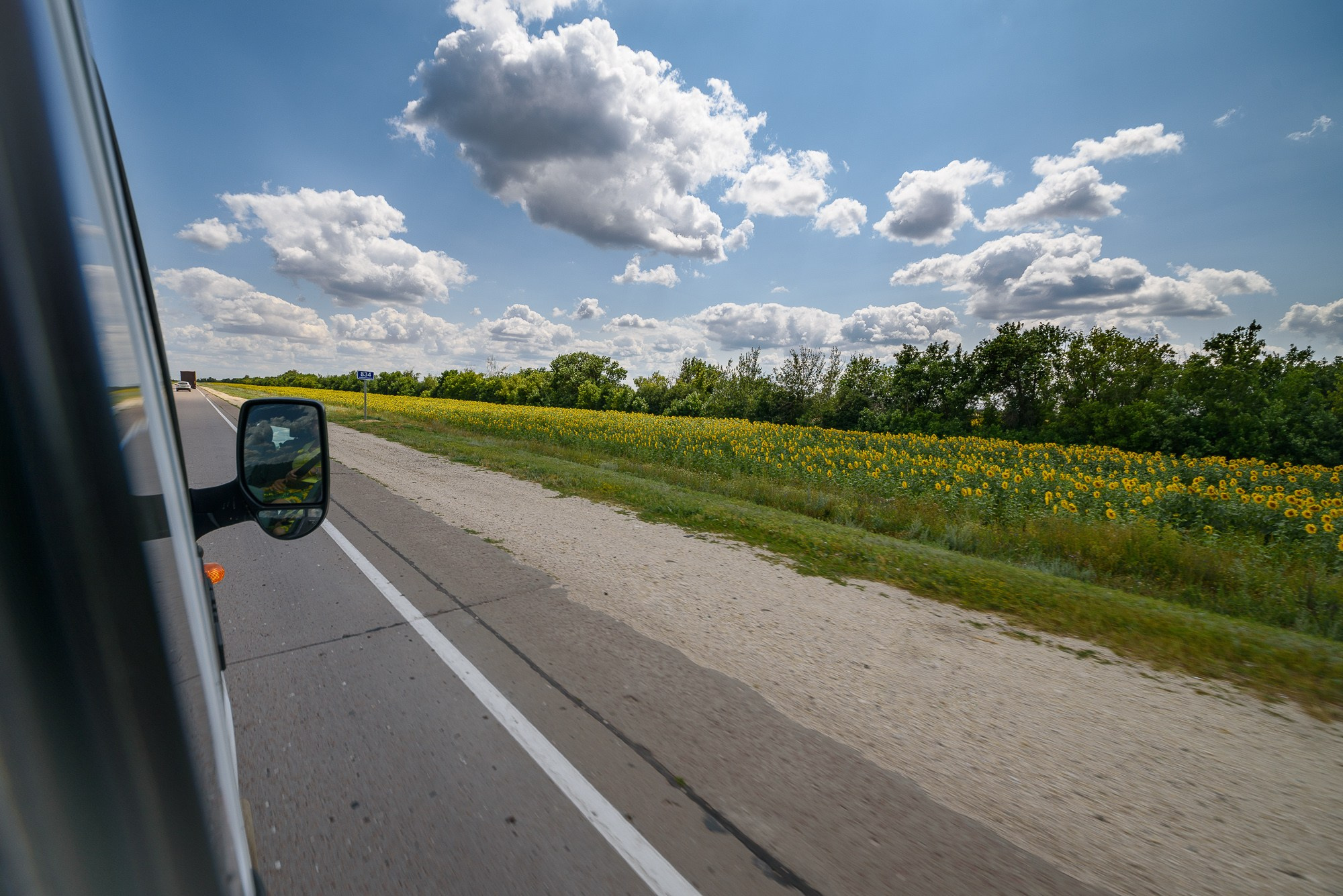 Вид из окна автомобиля, поле подсолнухов, дорога и облака