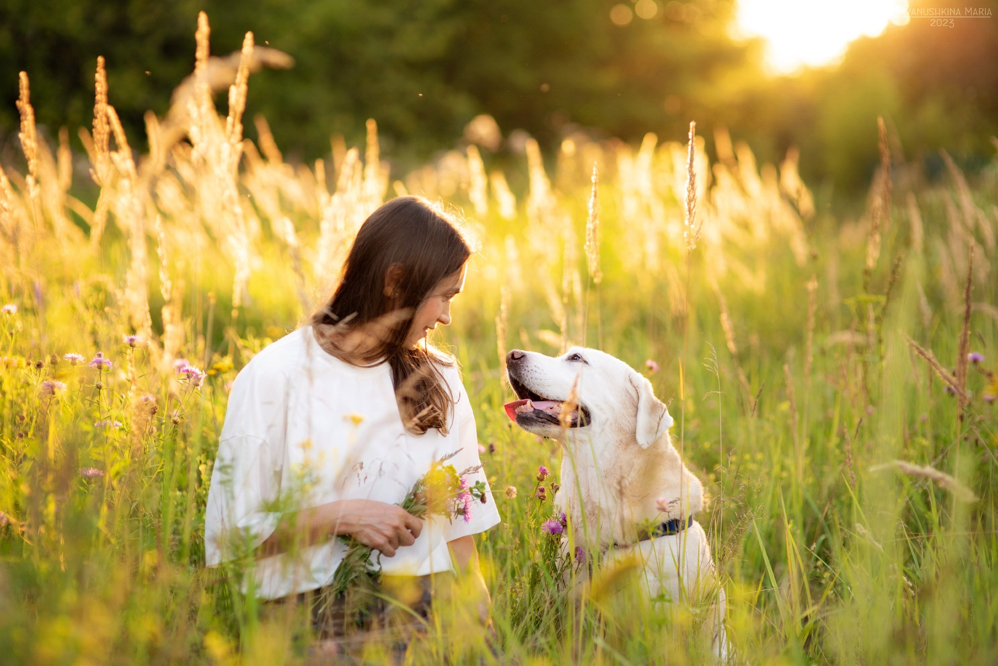 фотосессия с собакой на природе