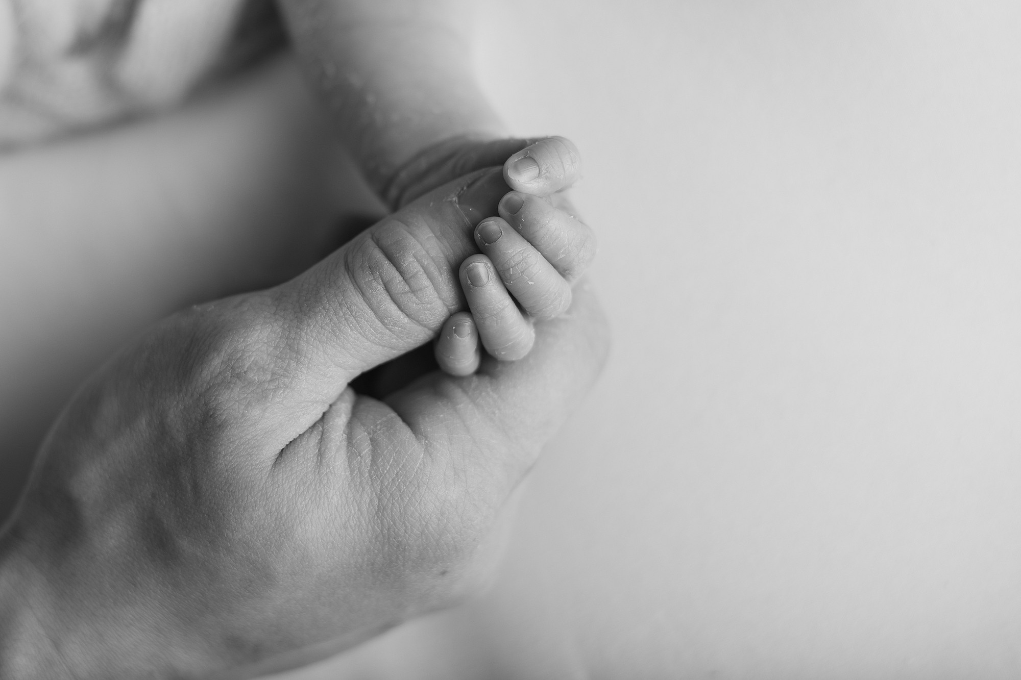 Услуги. Фотограф Новорождённых в Калининграде, семейный фотограф…