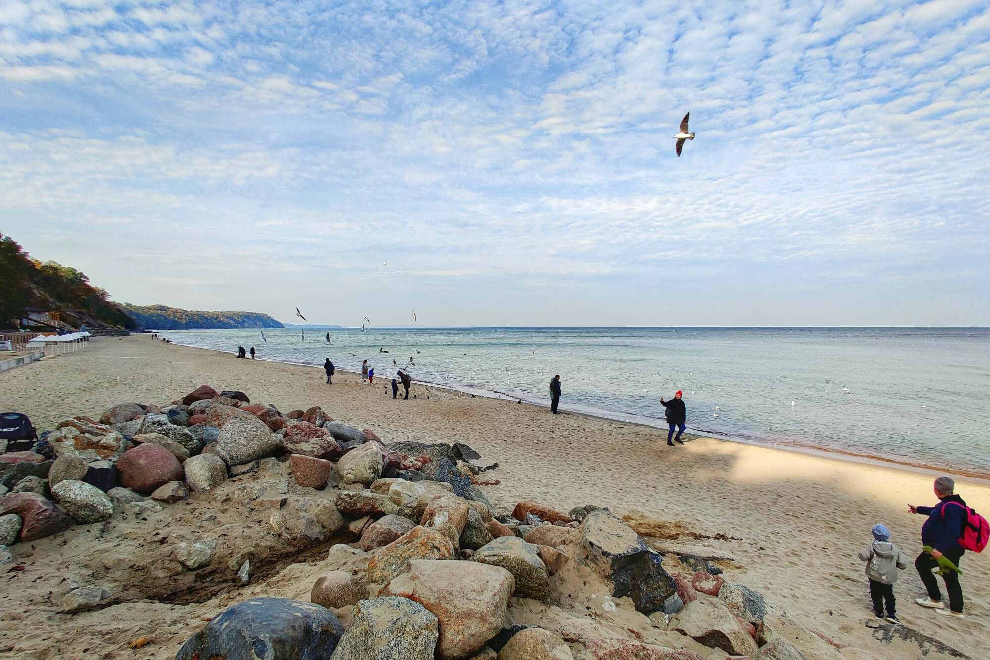 Песчаный пляж Балтийского моря с камнями на берегу, чайками в небе и гуляющими людьми