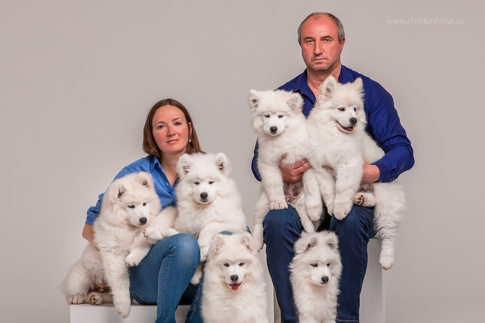 Для клиентов. Фотограф для Вашей собаки