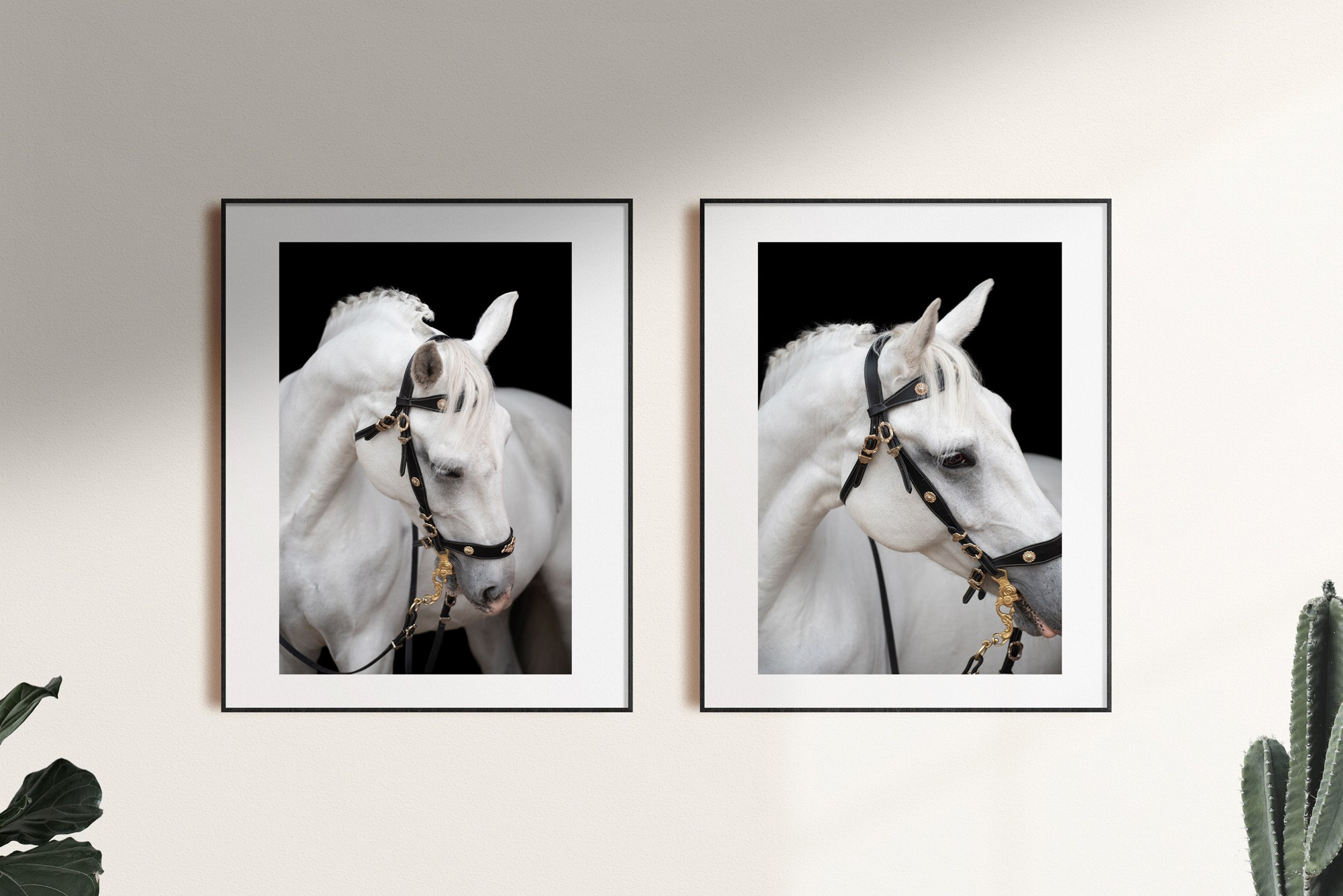 фото для интерьера, отпечаток, авторская фотография, купить отпечаток, купить фотографию, фото лошадей, фото лошади, красивые лошади, принт, цифровой отпечаток