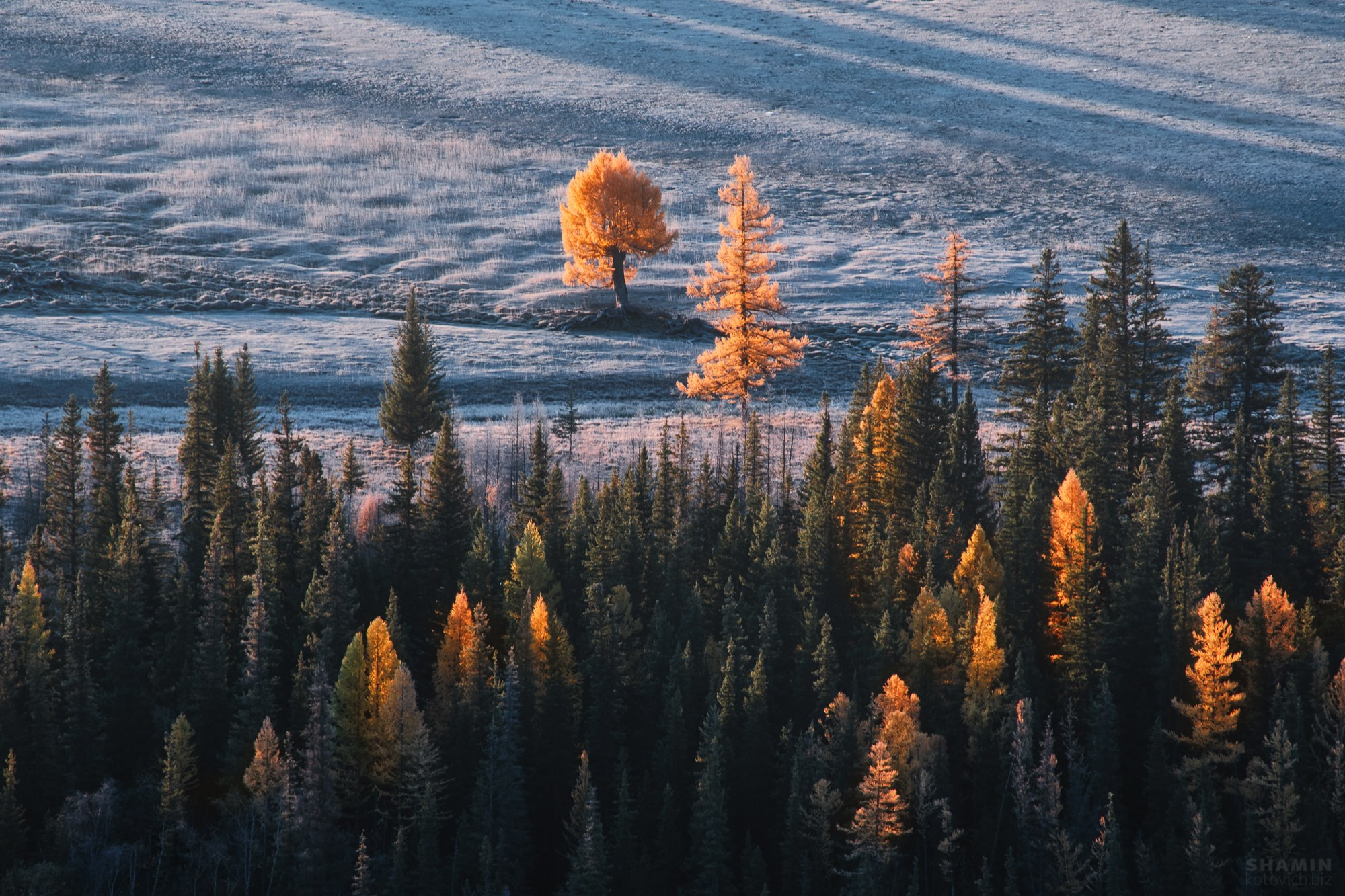 Фототур «Осенний Алтай» (20.09 — 29.09.24). Фотограф Константин Шамин